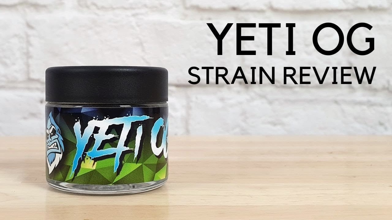 Archive image 8 for Yeti OG Cannabis Strain Review & Information
