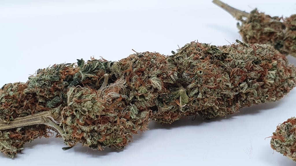 Archive image 4 for Yuzu Kush Strain Review & Information