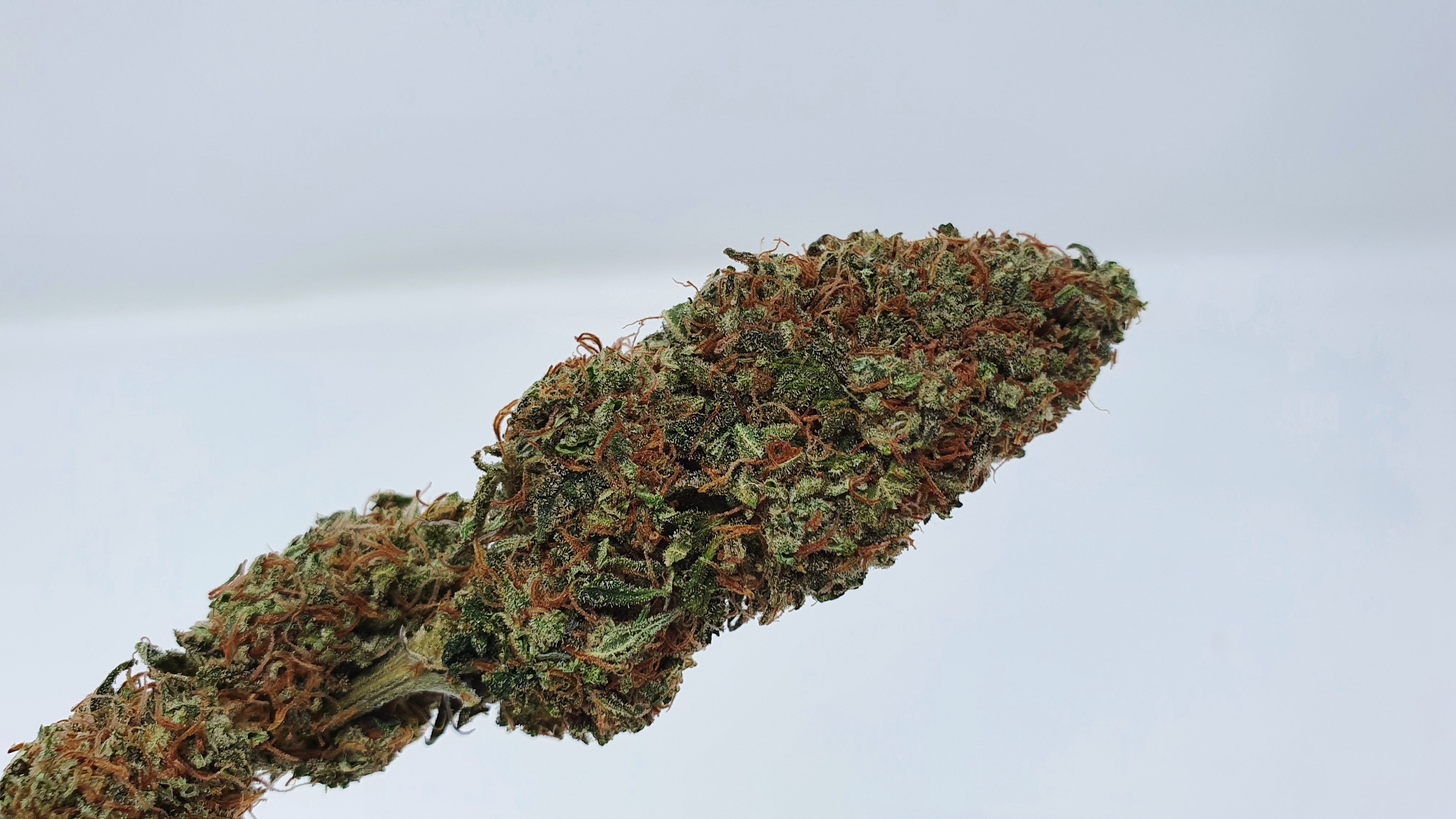 Archive image 5 for Yuzu Kush Strain Review & Information