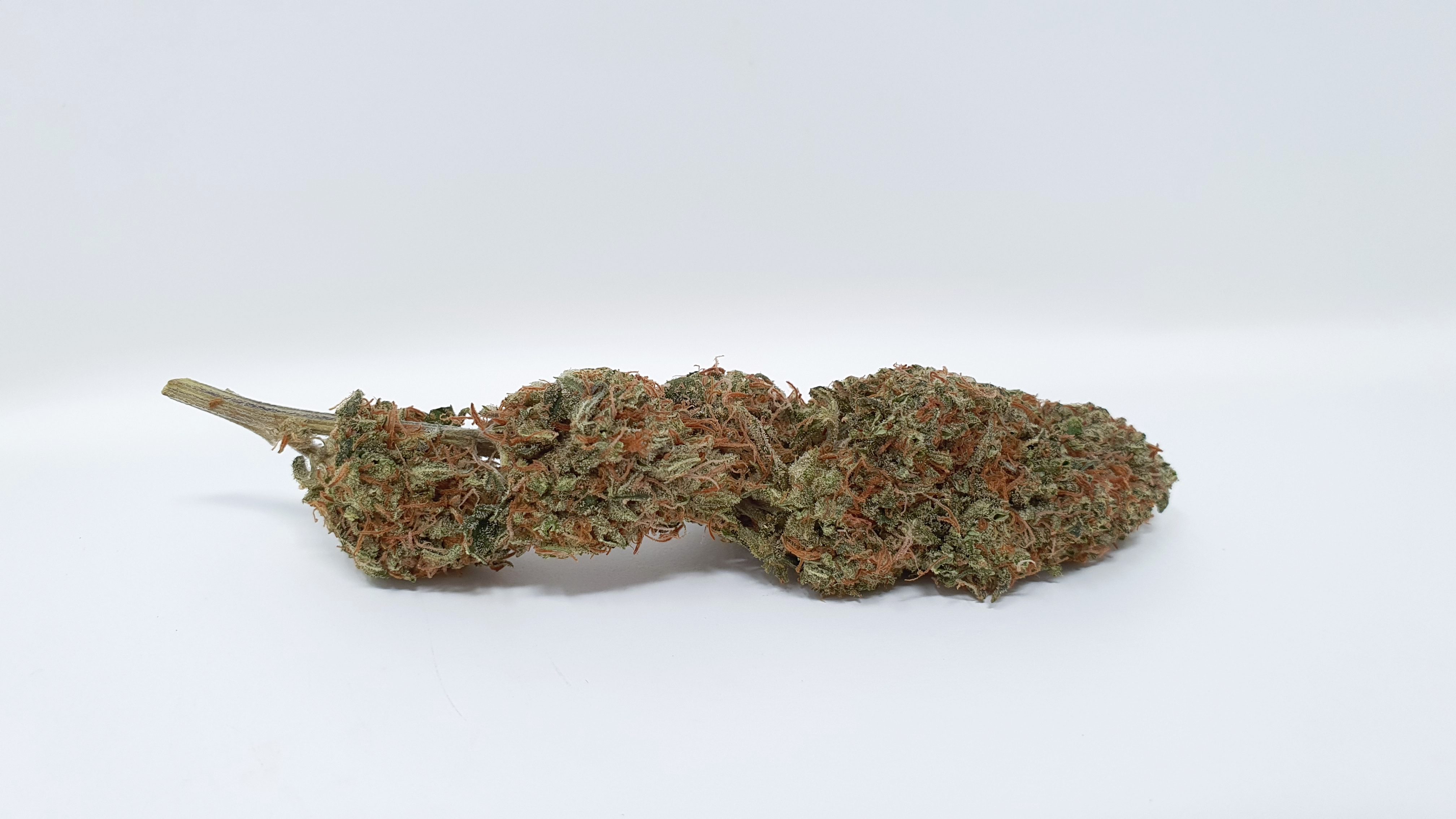 Archive image 7 for Yuzu Kush Strain Review & Information