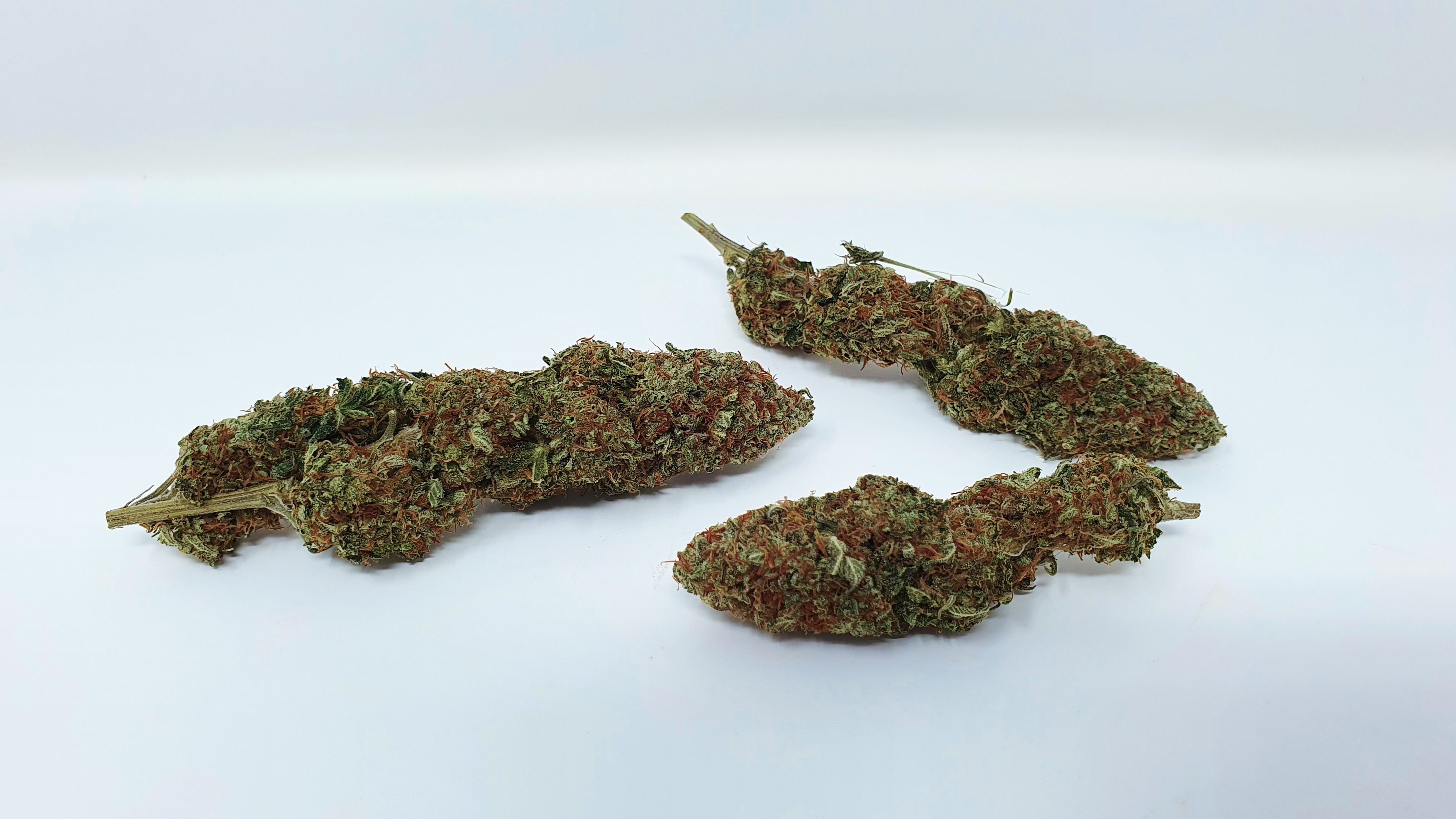 Archive image 8 for Yuzu Kush Strain Review & Information