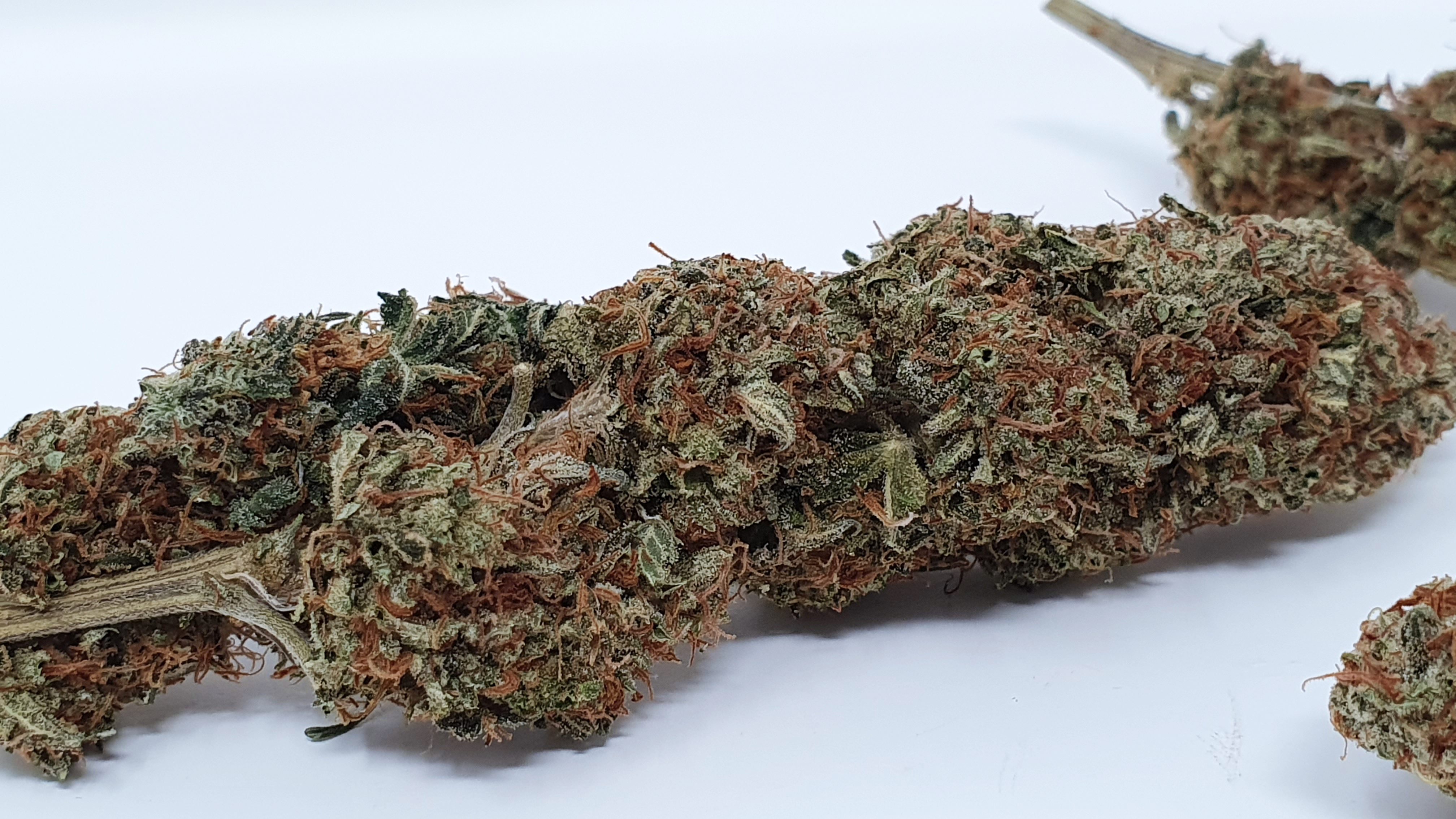 Archive image 9 for Yuzu Kush Strain Review & Information