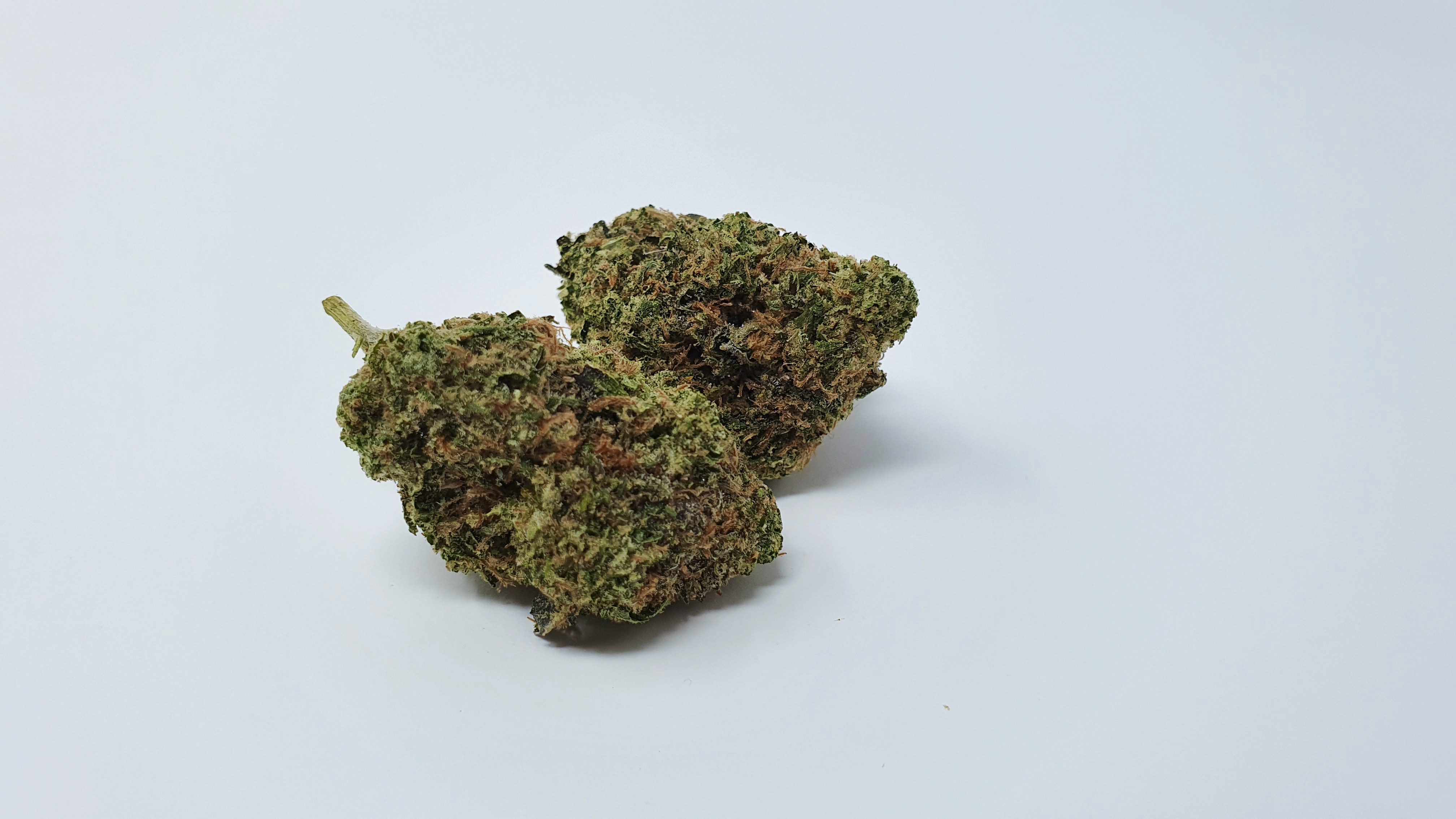Archive image 8 for ZCube Cannabis Strain Review & Information