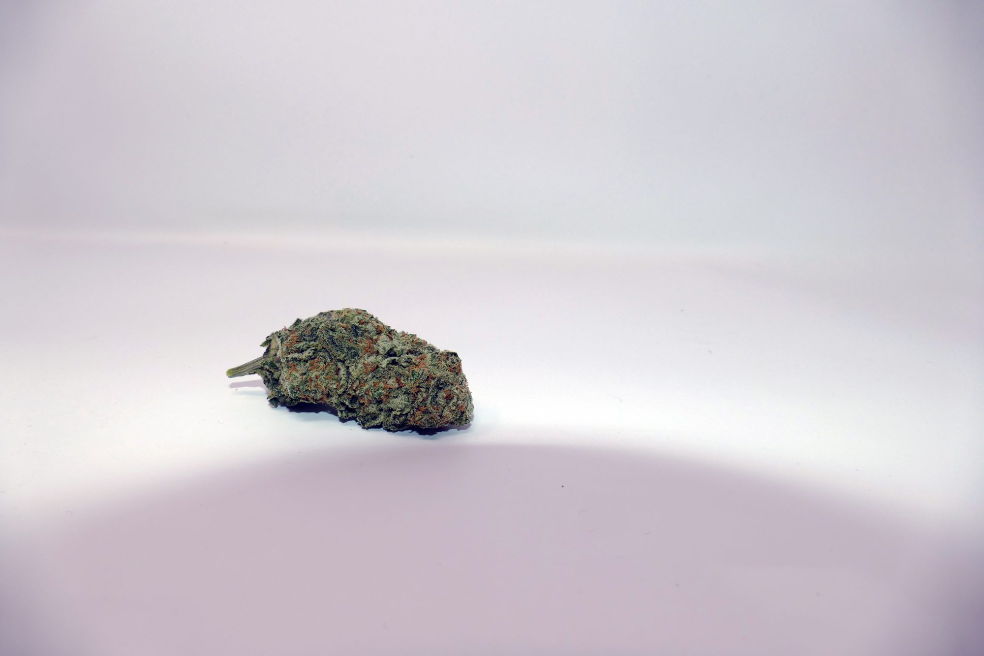 Archive image 2 for Zed Cannabis Strain Information & Review