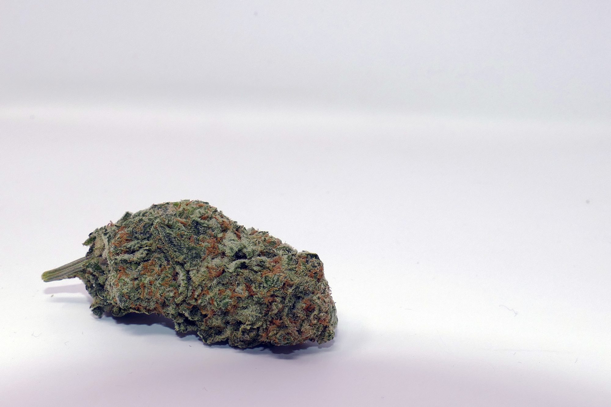 Archive image 4 for Zed Cannabis Strain Information & Review