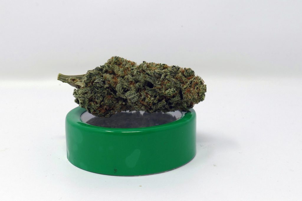 Archive image 6 for Zed Cannabis Strain Information & Review