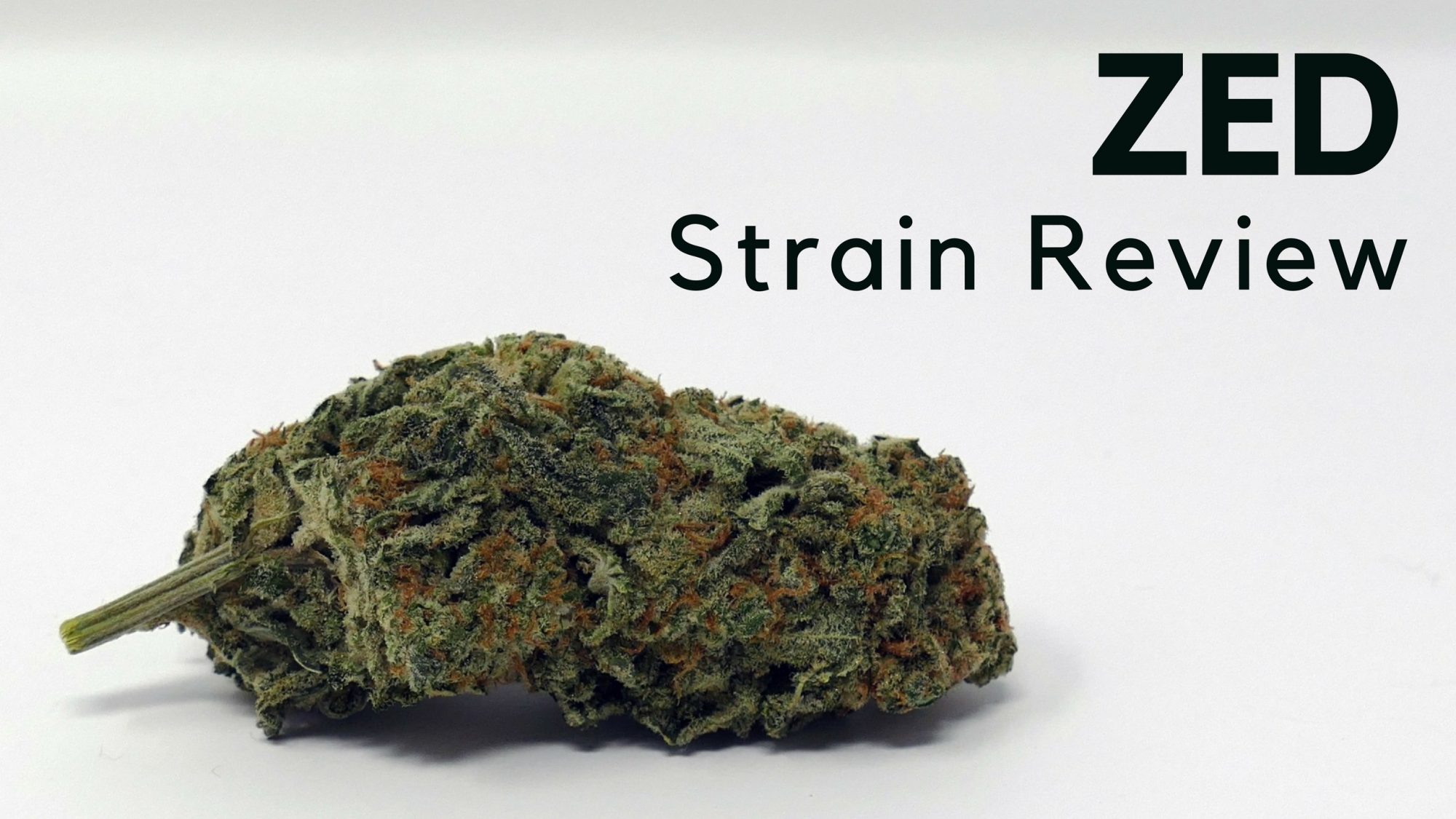 Archive image 9 for Zed Cannabis Strain Information & Review