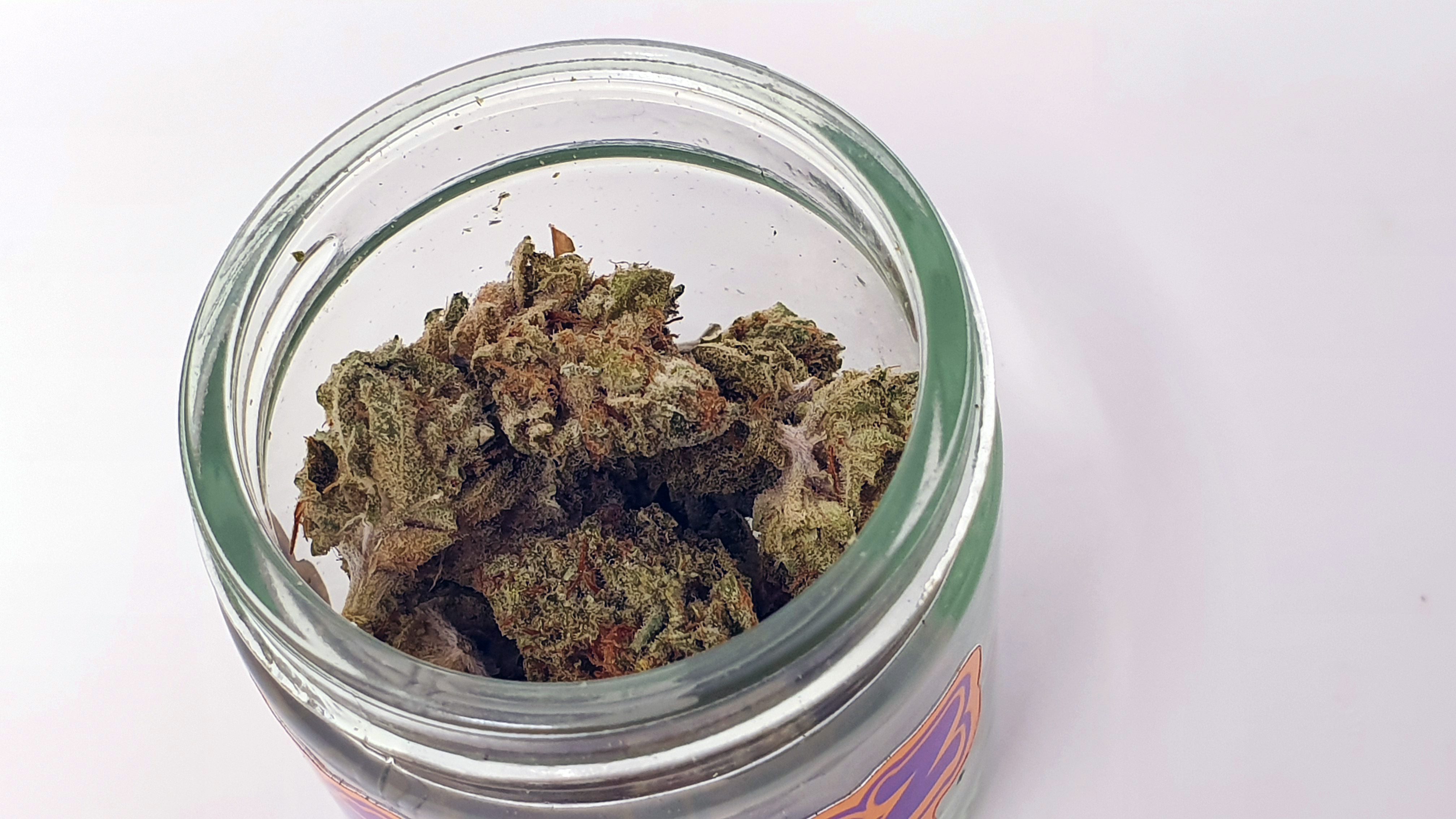 Archive image 5 for ZkittleZ Strain Review & Information