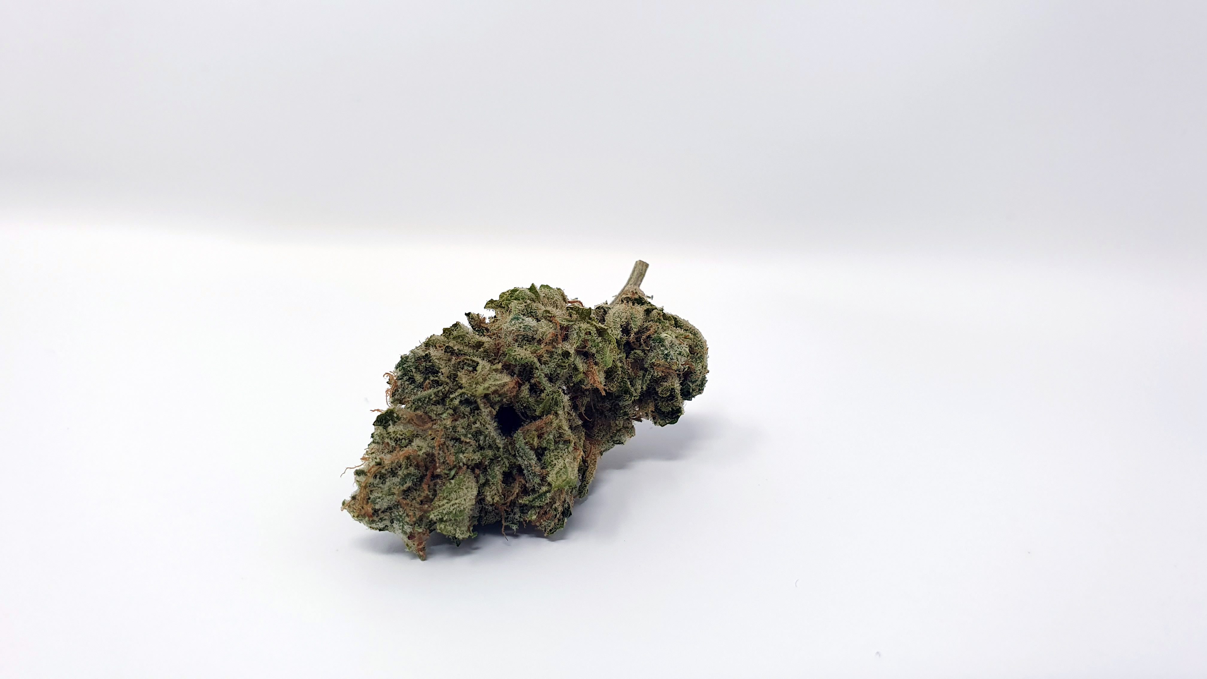 Archive image 7 for ZkittleZ Strain Review & Information