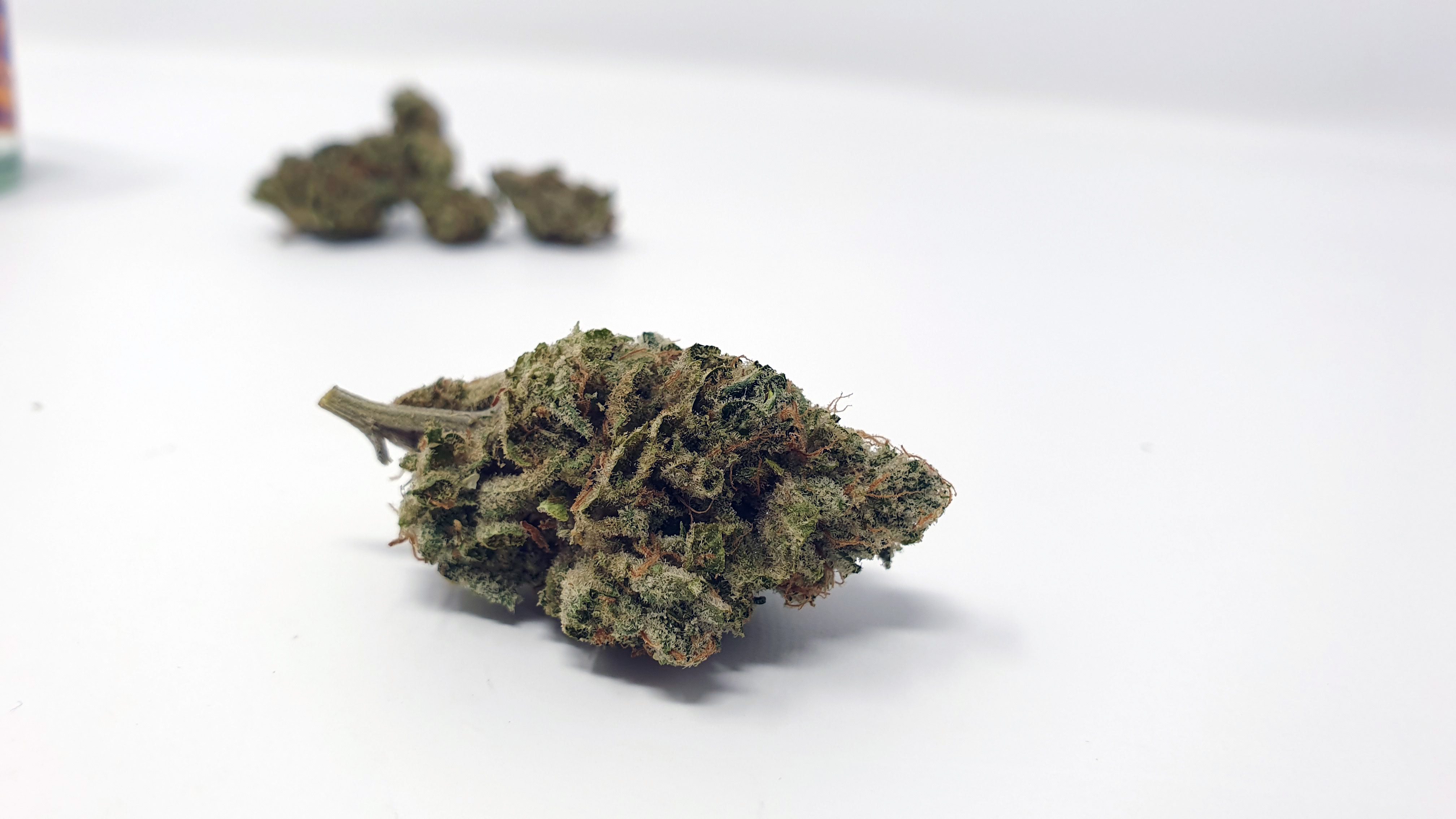 Archive image 8 for ZkittleZ Strain Review & Information