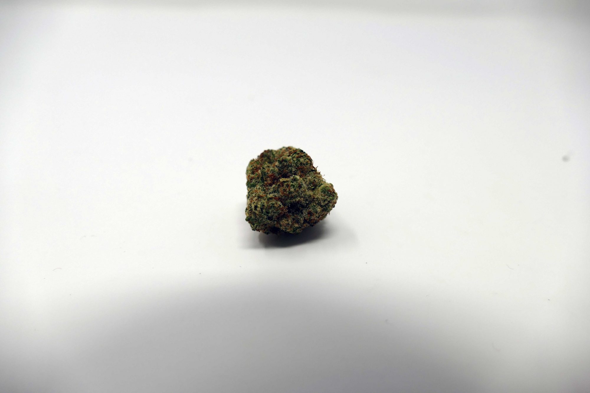 Archive image 2 for Zookies Cannabis Strain Information & Review
