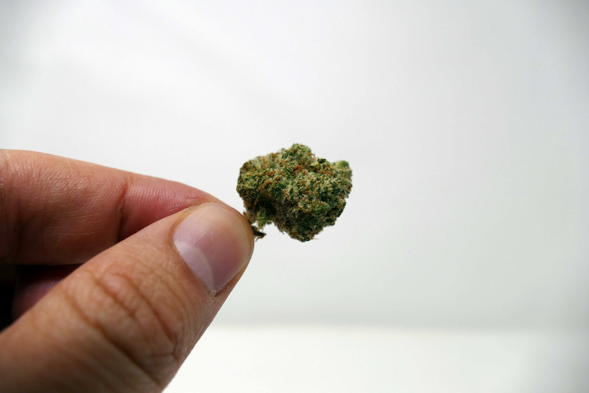 Archive image 5 for Zookies Cannabis Strain Information & Review