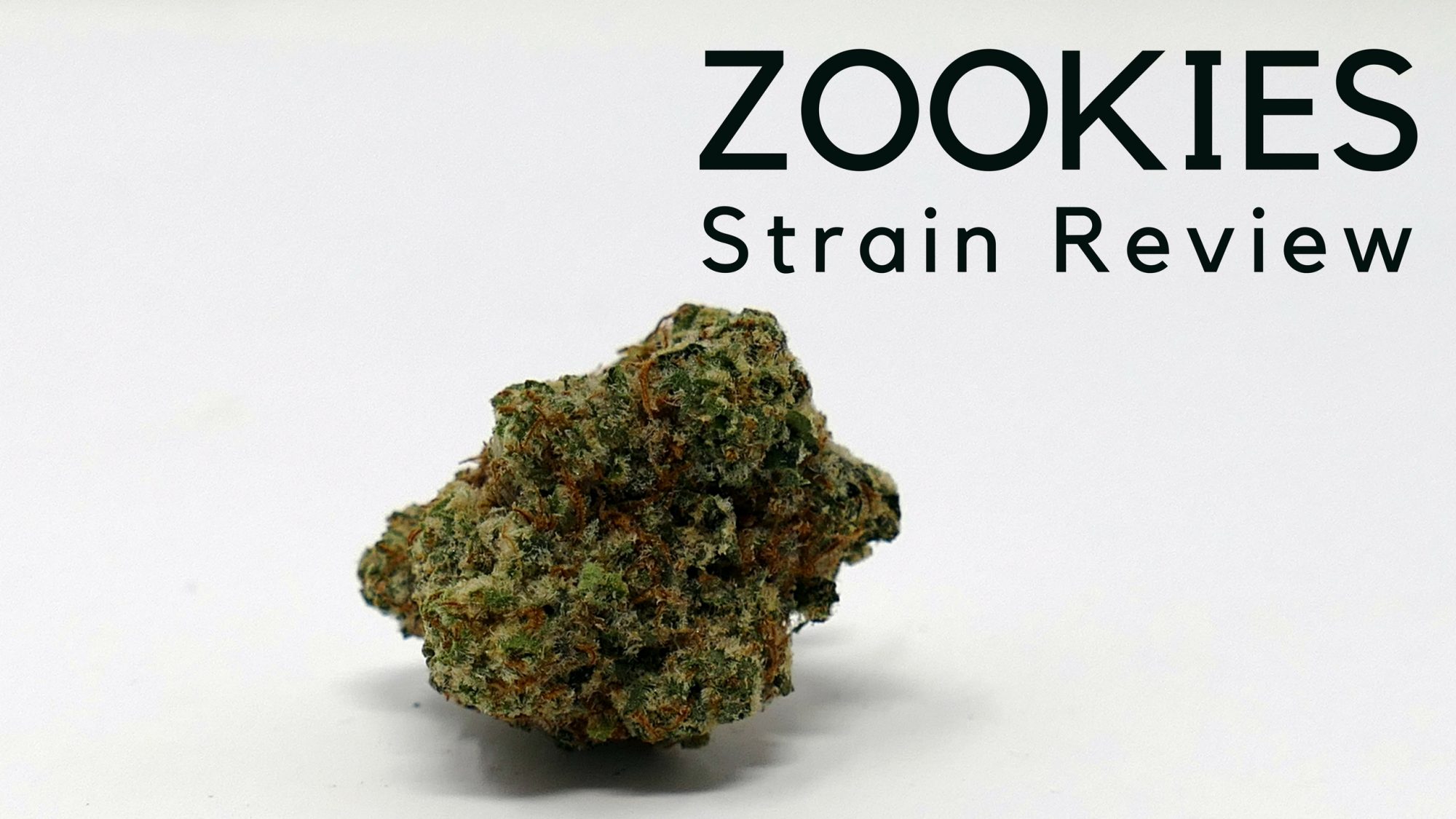 Archive image 6 for Zookies Cannabis Strain Information & Review