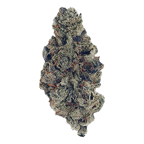 Gorilla Glue image 1