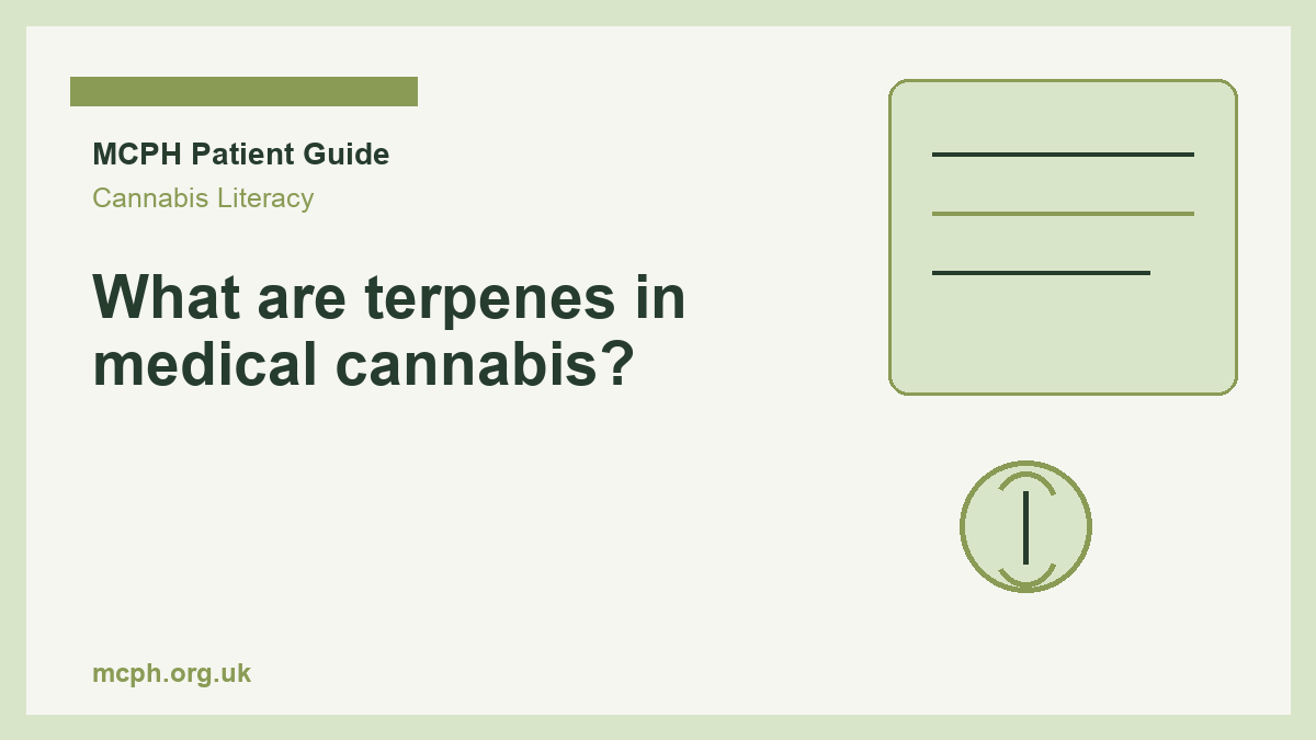 What are terpenes in medical cannabis? - MCPH patient guide cover