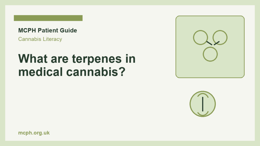 What are terpenes in medical cannabis? — MCPH patient guide cover