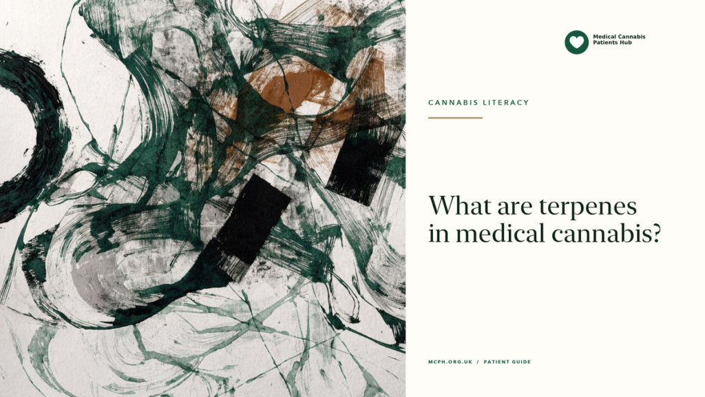 What are terpenes in medical cannabis? — MCPH article cover