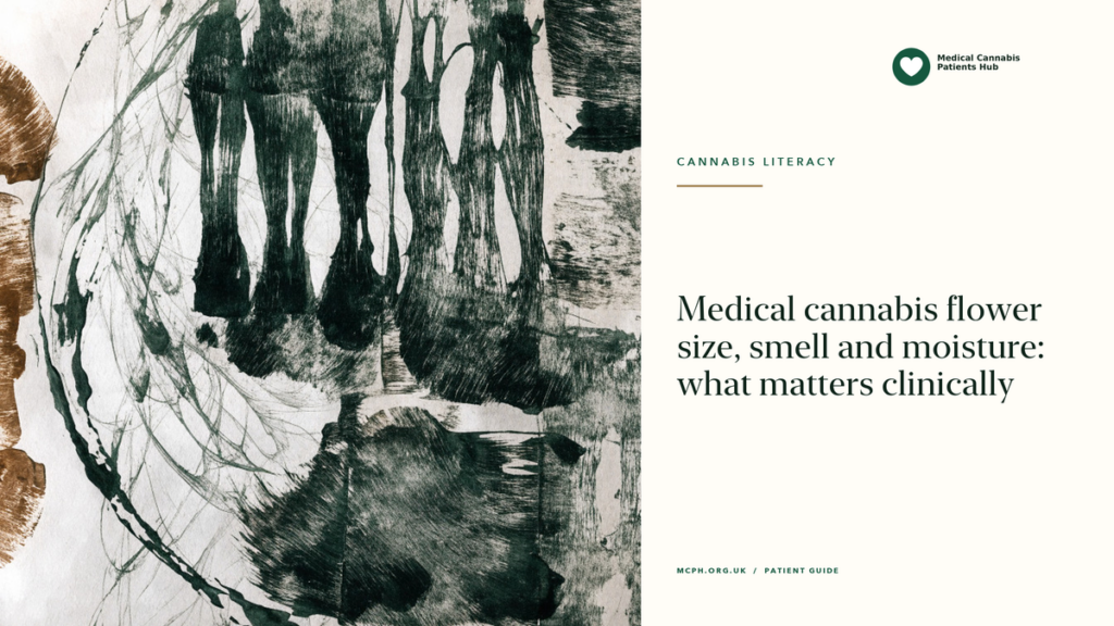 Medical cannabis flower size, smell and moisture: what matters clinically — MCPH article cover