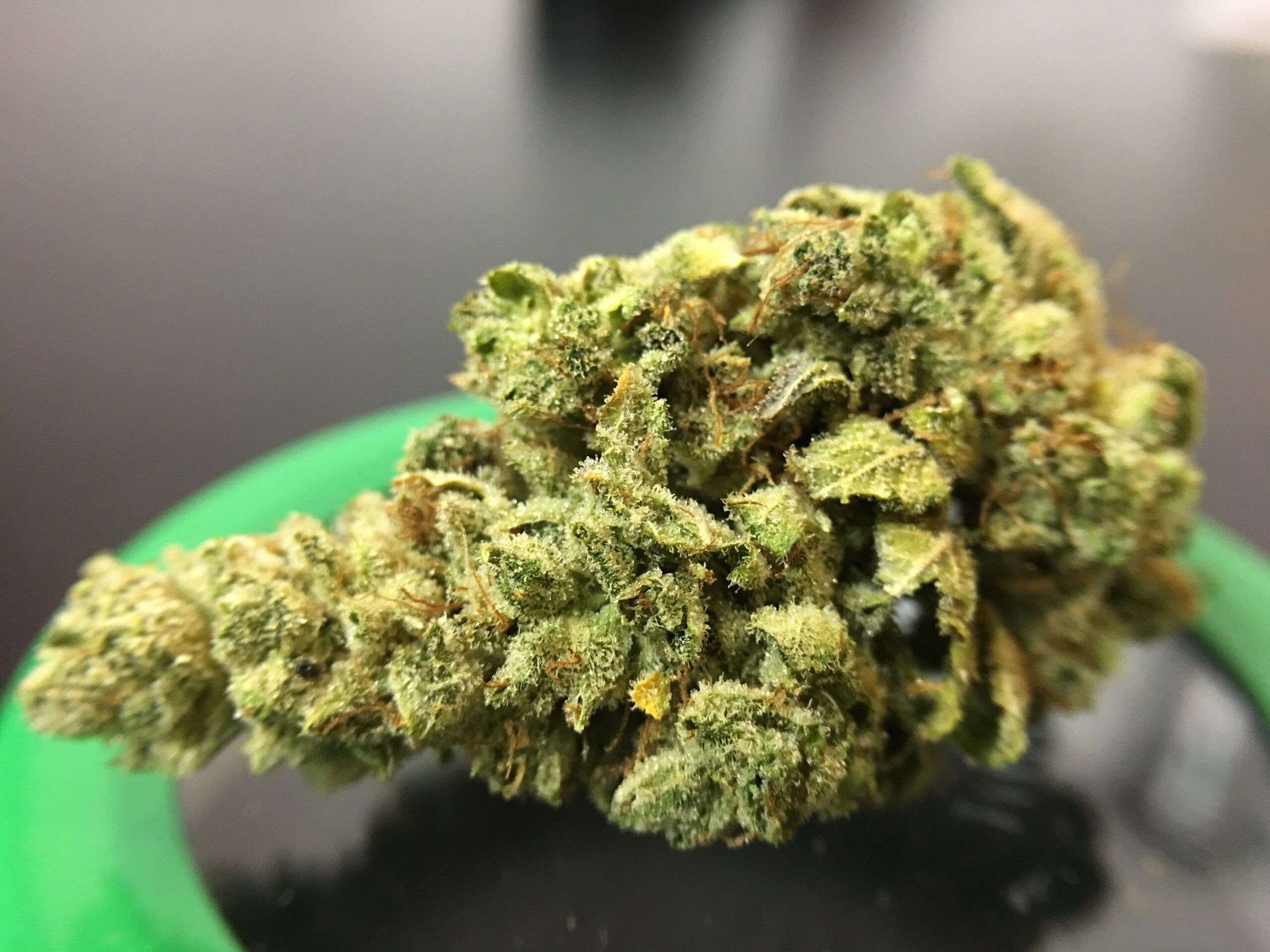 ISMOKE archive image 2 for Gorilla Glue #4 Cannabis strain review