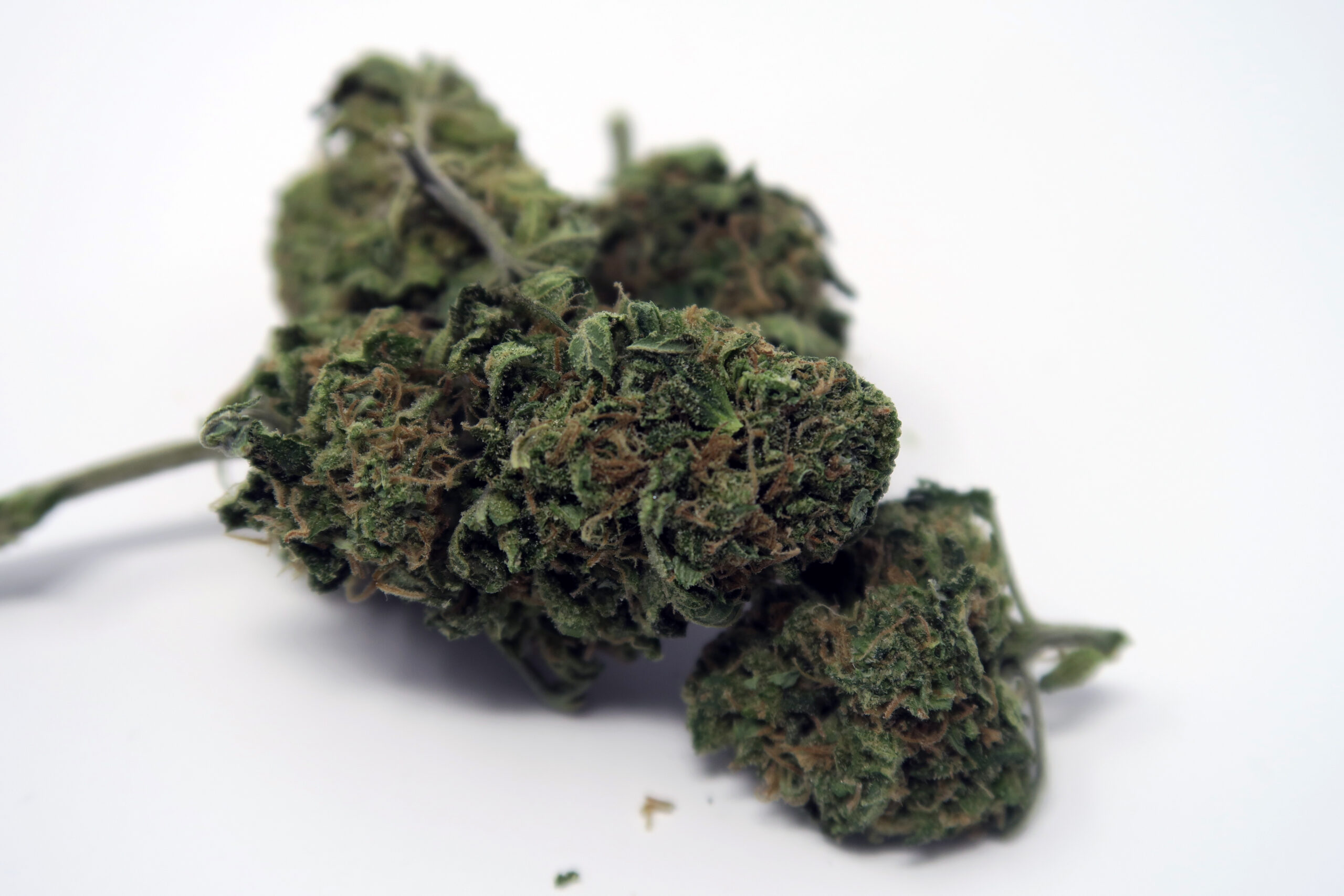 ISMOKE archive image 2 for Blue Cheese Cannabis Strain Review