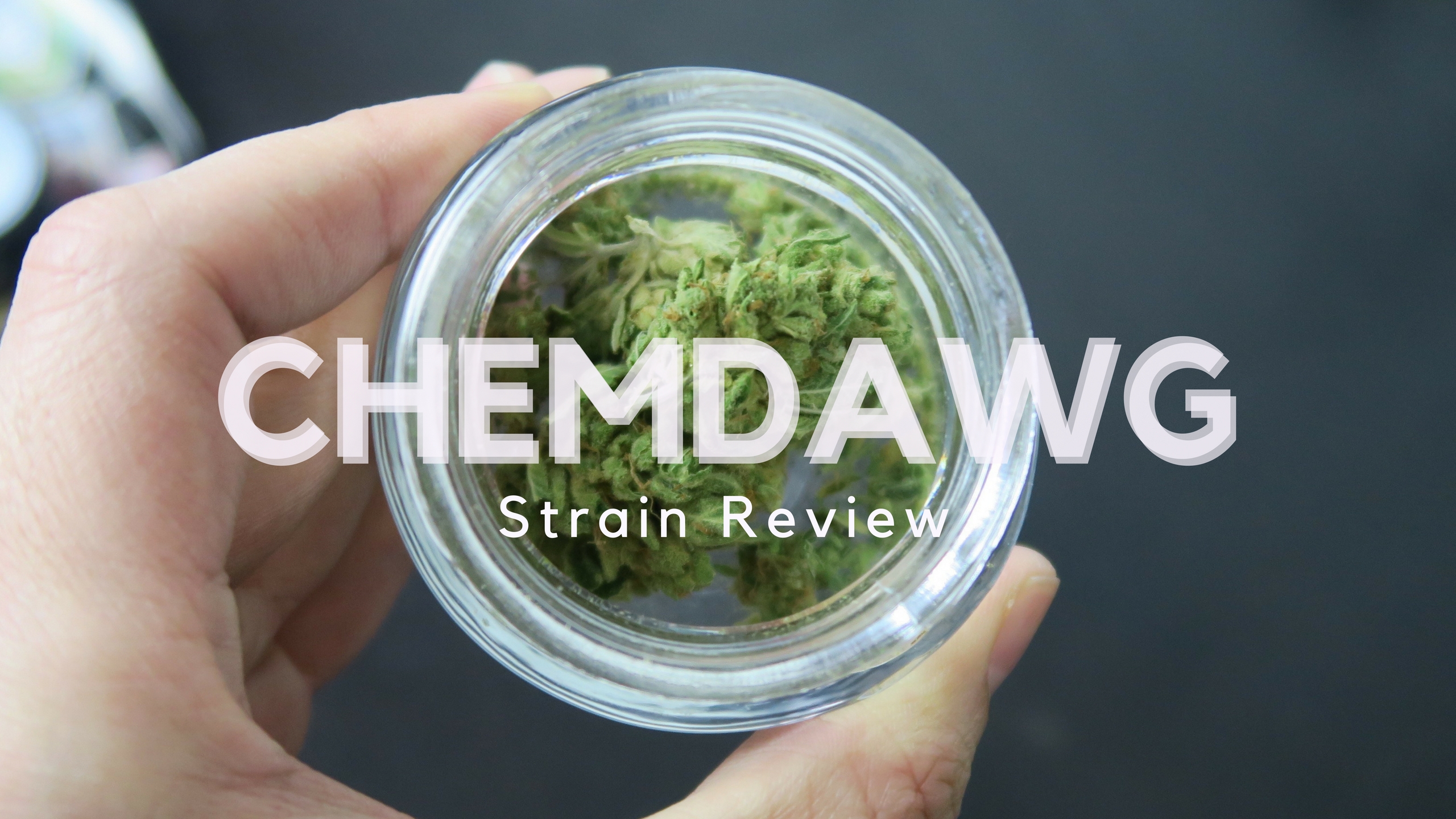 ISMOKE archive image 2 for Chemdog Strain Review