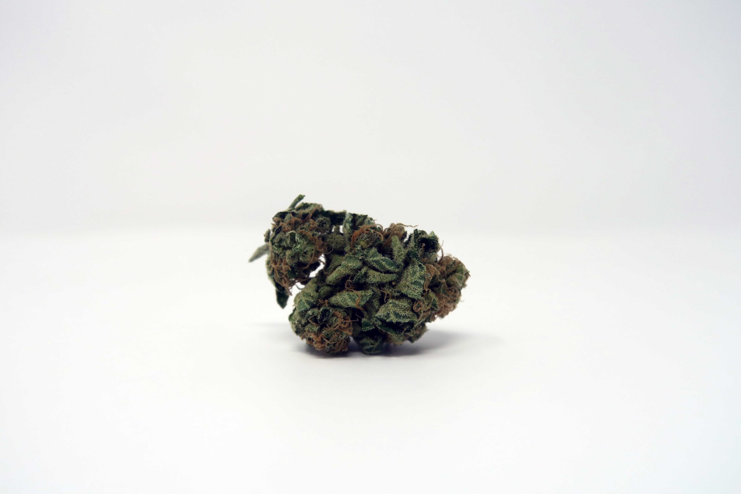 ISMOKE archive image 2 for Chocolate Kush Strain Review