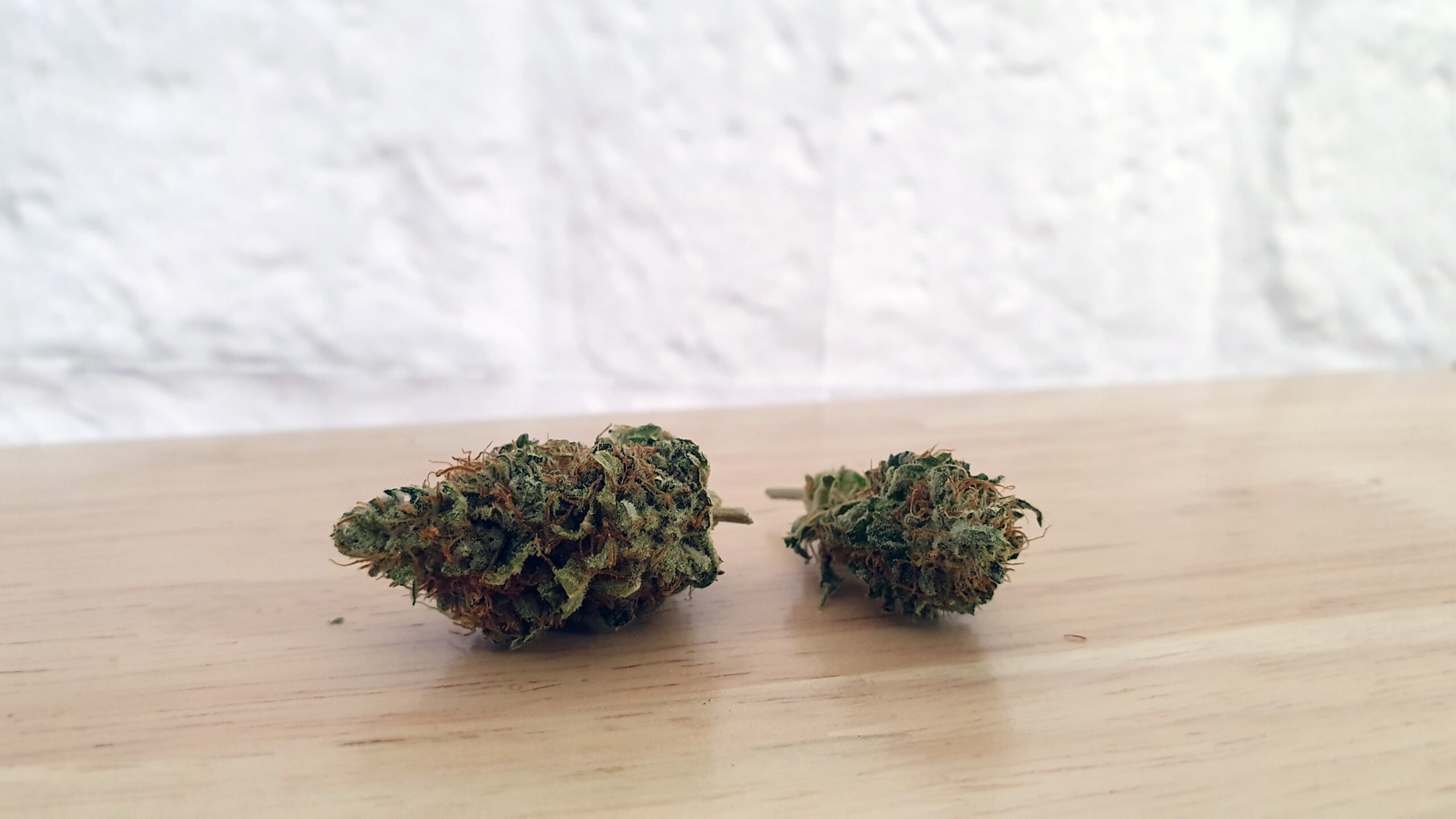 ISMOKE archive image 2 for Chocolate Starfish Cannabis strain review