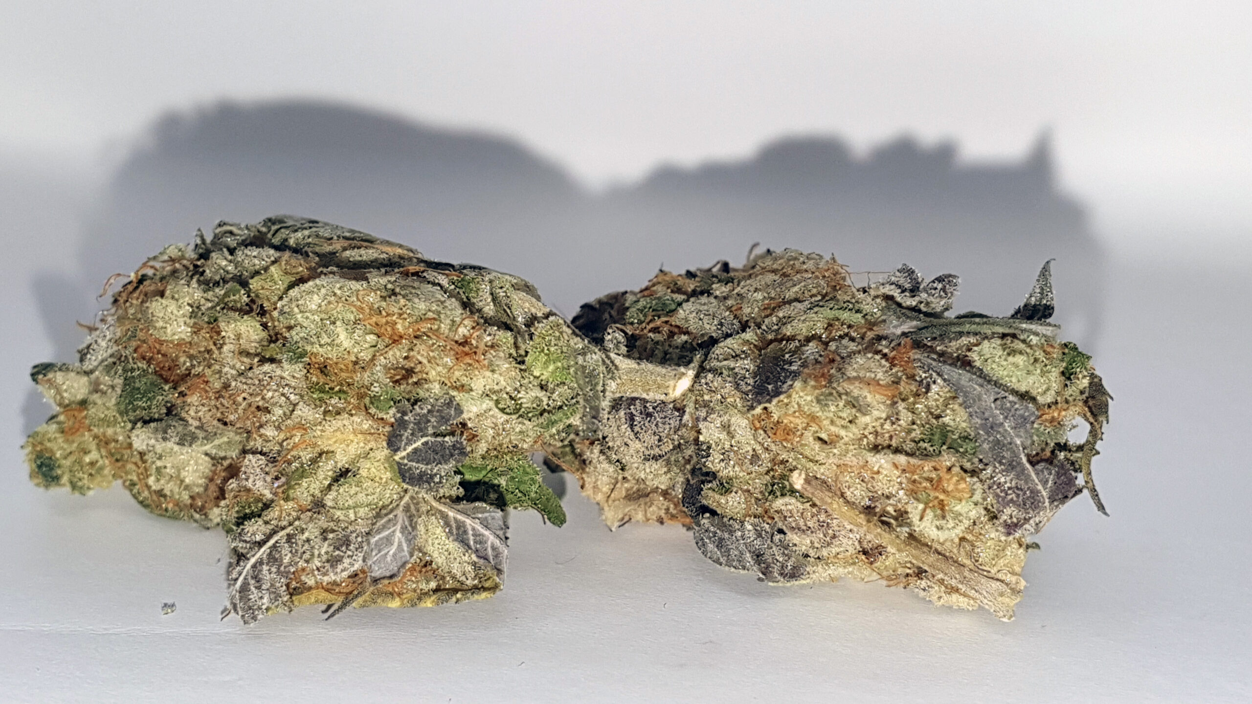 ISMOKE archive image 2 for Crushed Berries Cannabis strain review