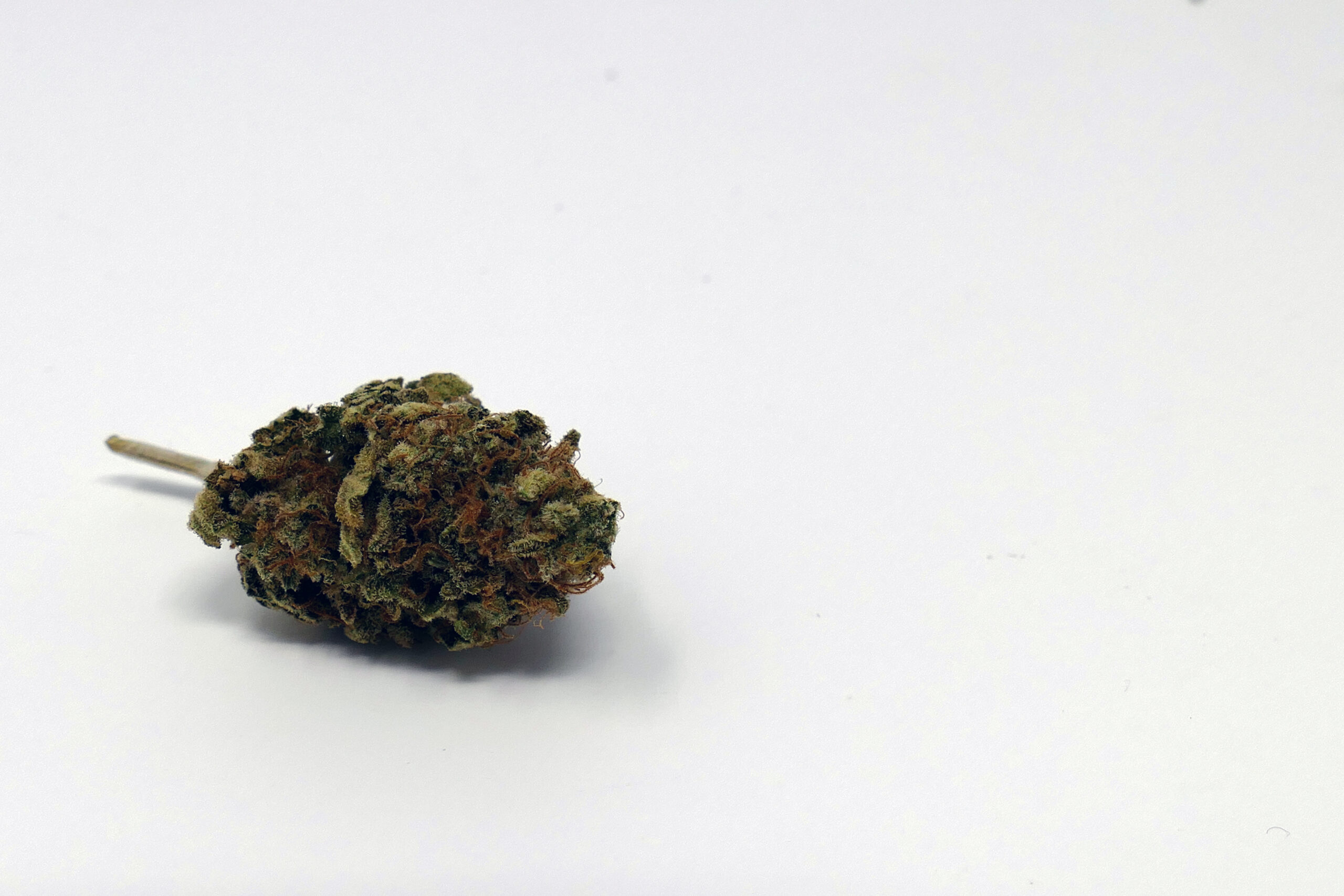 ISMOKE archive image 2 for El Fuego (The Fire) Cannabis strain review