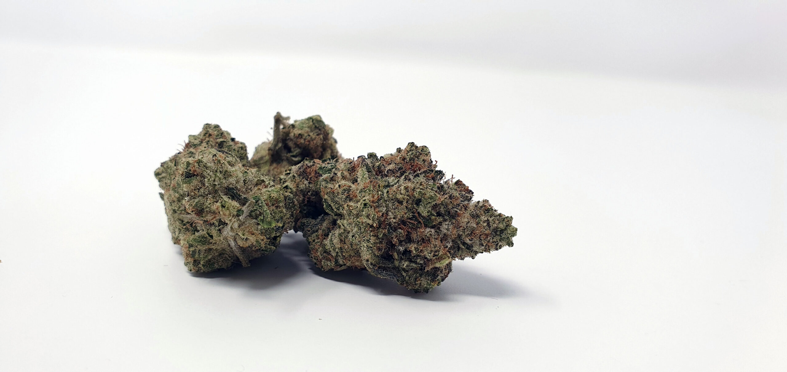 ISMOKE archive image 2 for Ginger Glue by Black Sheep Botanicals Cannabis strain review