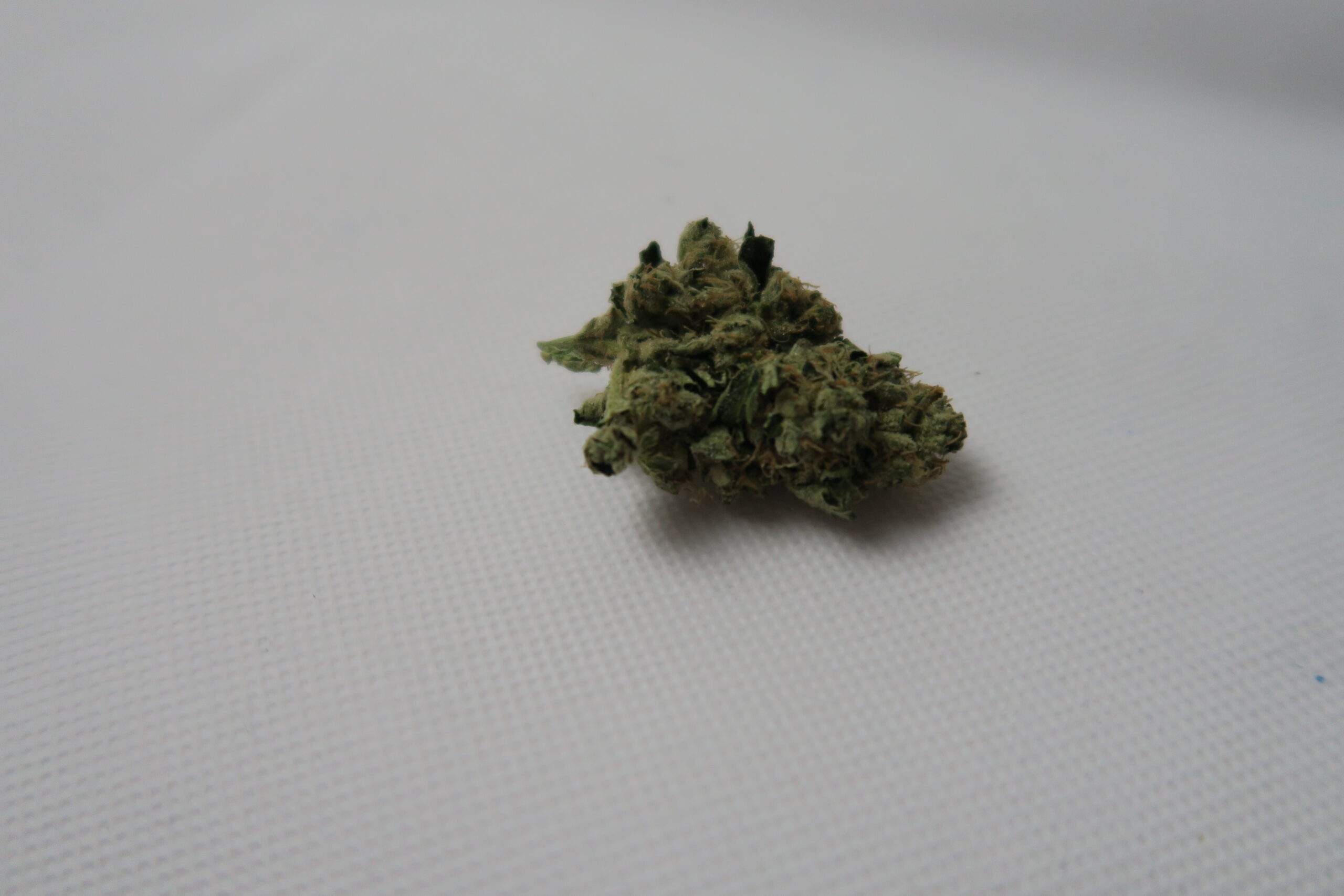 ISMOKE archive image 2 for Headbanger Strain Review