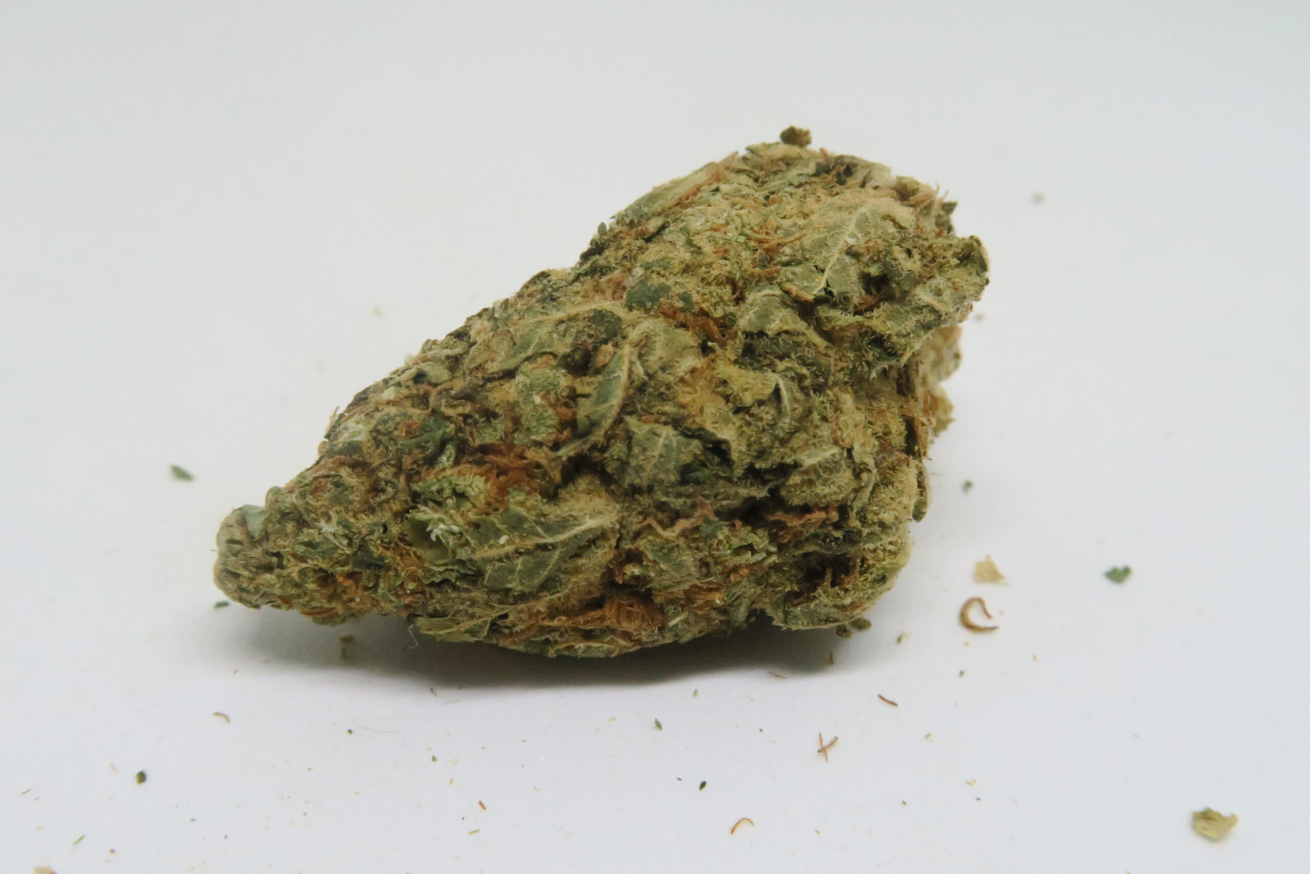 ISMOKE archive image 2 for Northern Lights Cannabis Strain Review Plus Your Chance to Win Cananbis Seeds!