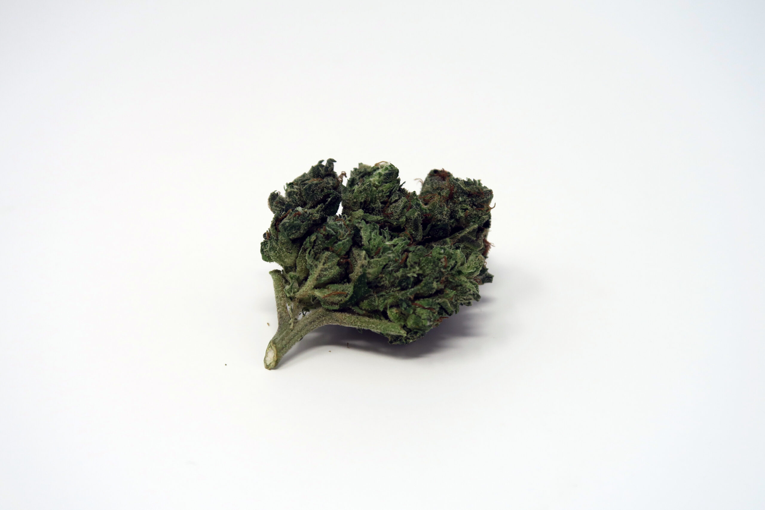 ISMOKE archive image 2 for Orange Diesel V3 [ODV3] Cannabis Strain Review