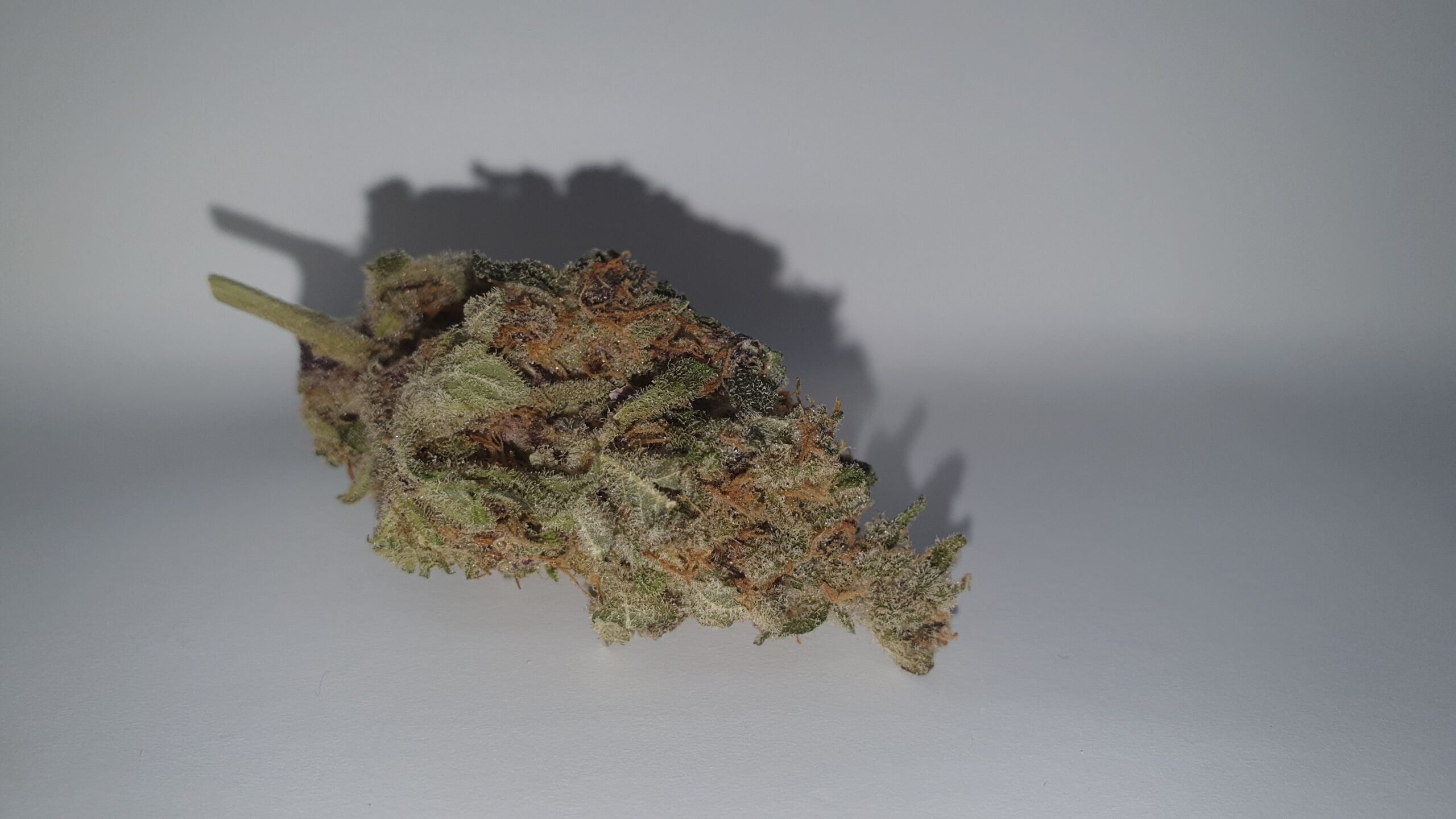 ISMOKE archive image 2 for Purple Punch Cannabis strain review