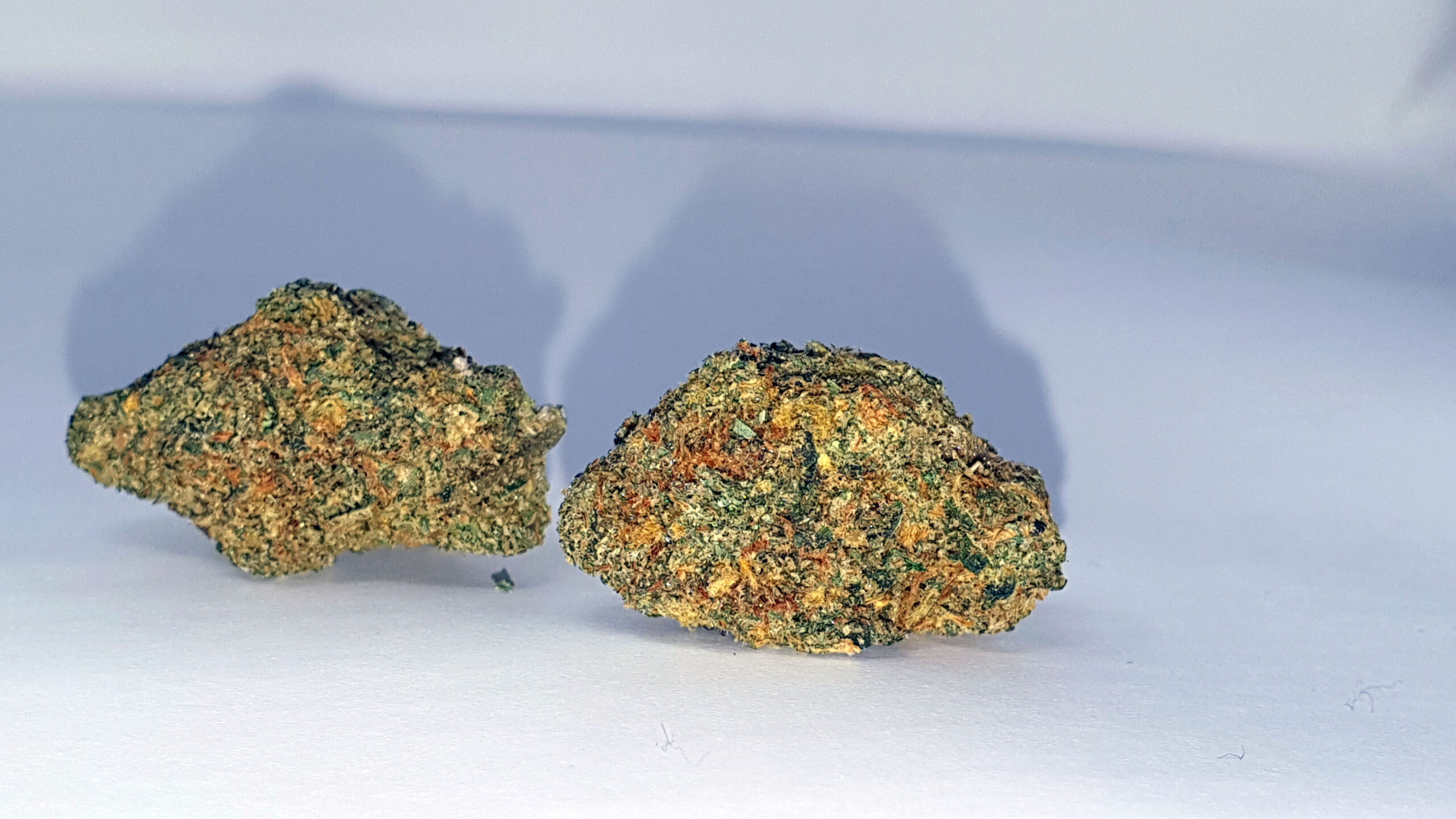 ISMOKE archive image 2 for Rainbow Sherbet (Deo Farms) Cannabis strain review
