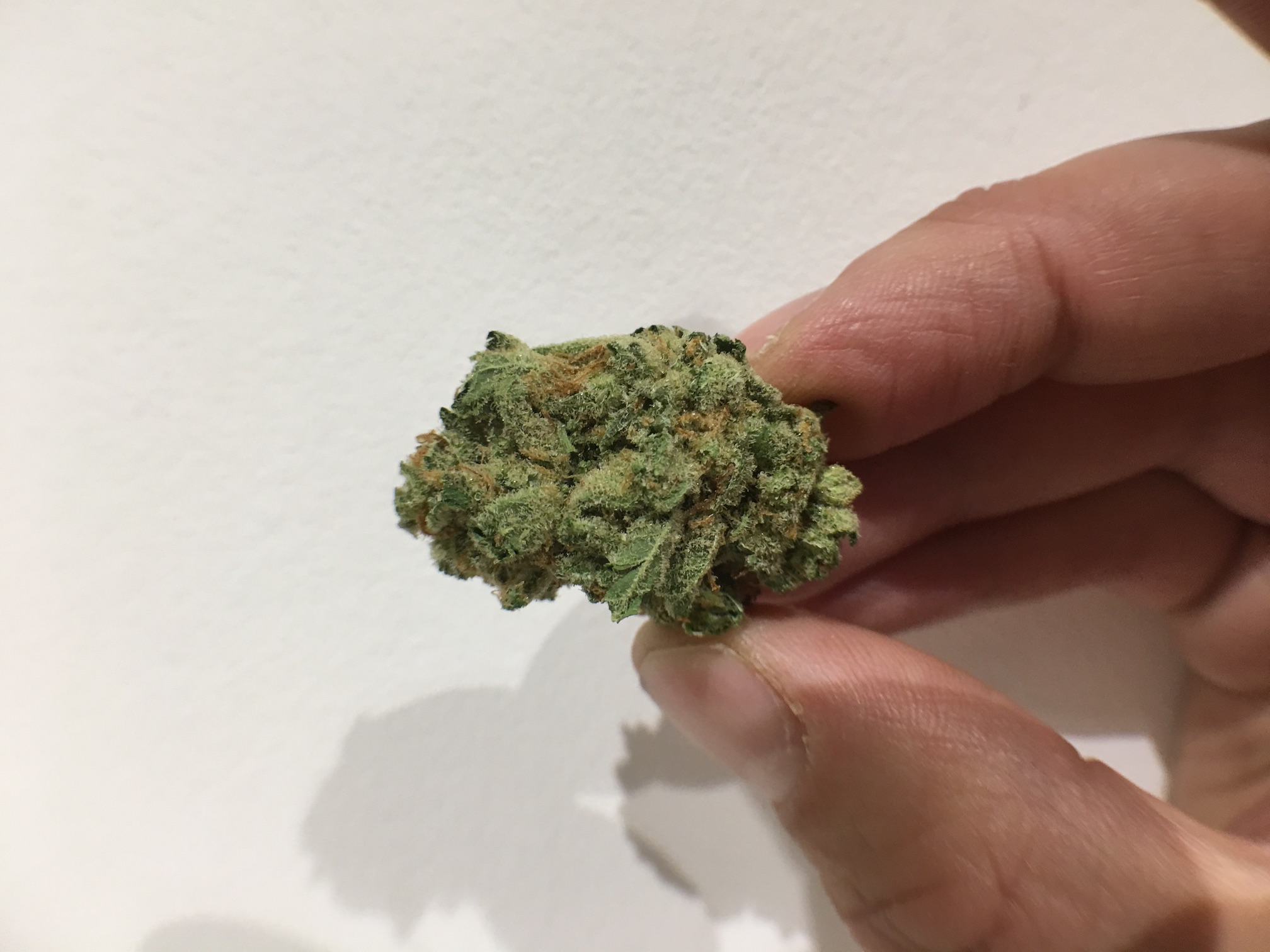 ISMOKE archive image 2 for S5 Haze Cannabis Strain Review