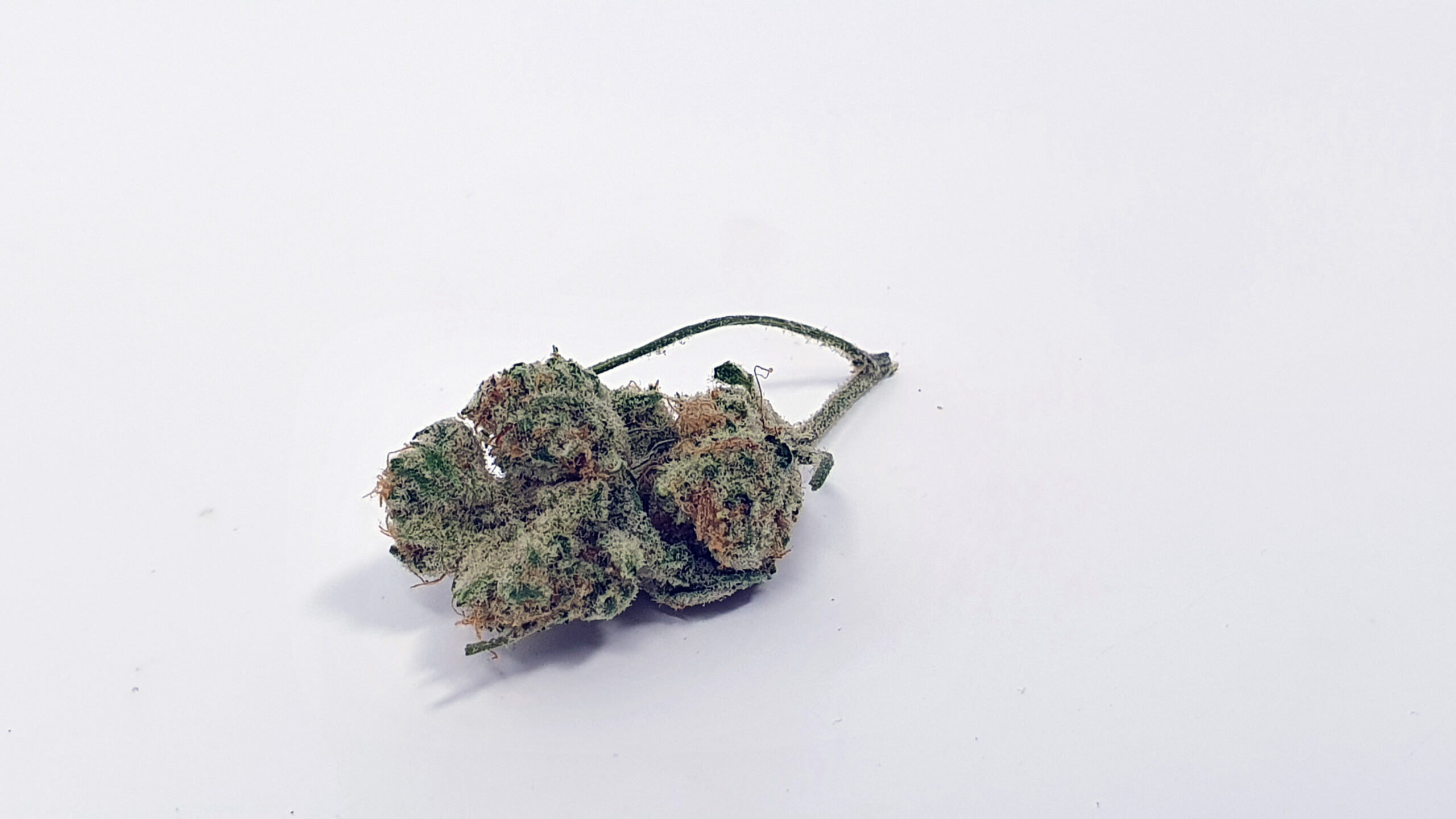 ISMOKE archive image 2 for Slurricane strain review