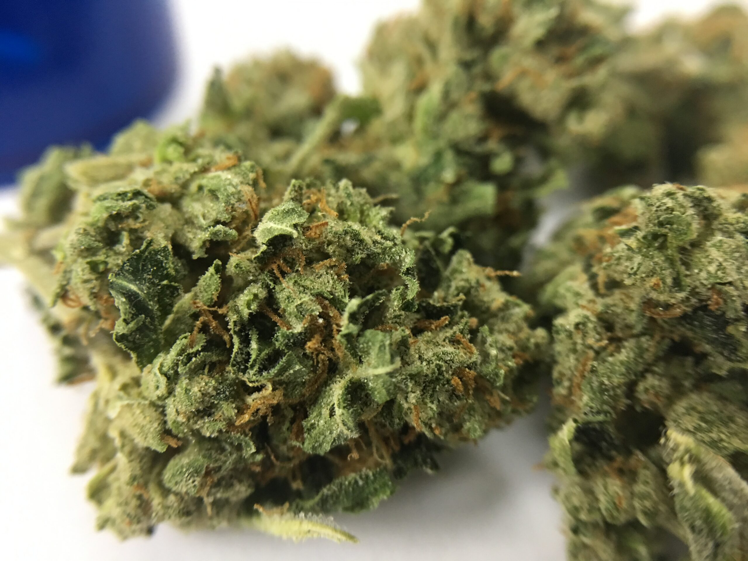 ISMOKE archive image 2 for Sour Diesel Haze Cannabis Strain Review