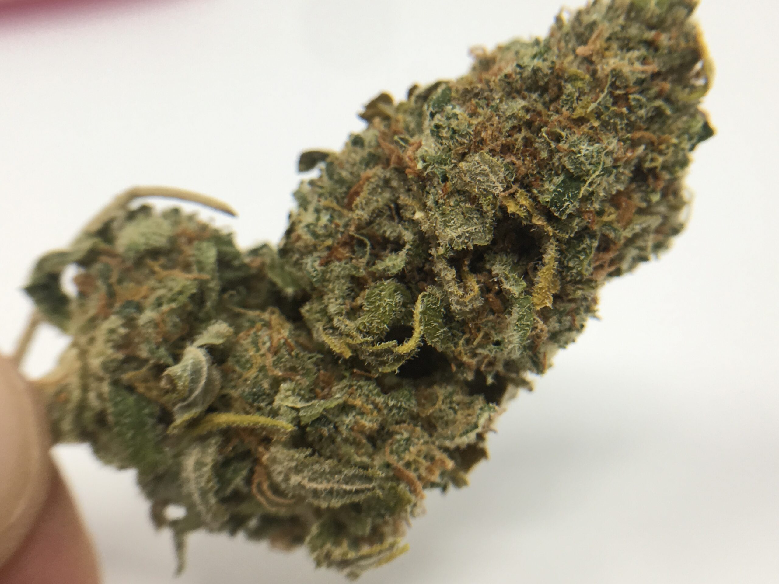 ISMOKE archive image 2 for Stardawg Strain Review