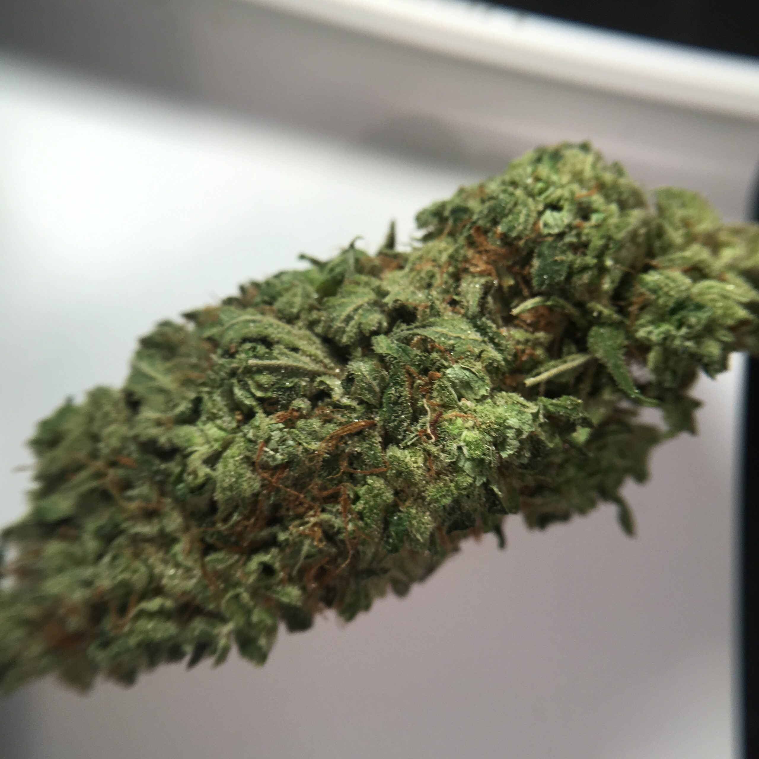 ISMOKE archive image 2 for Super Bud Cannabis Strain Review