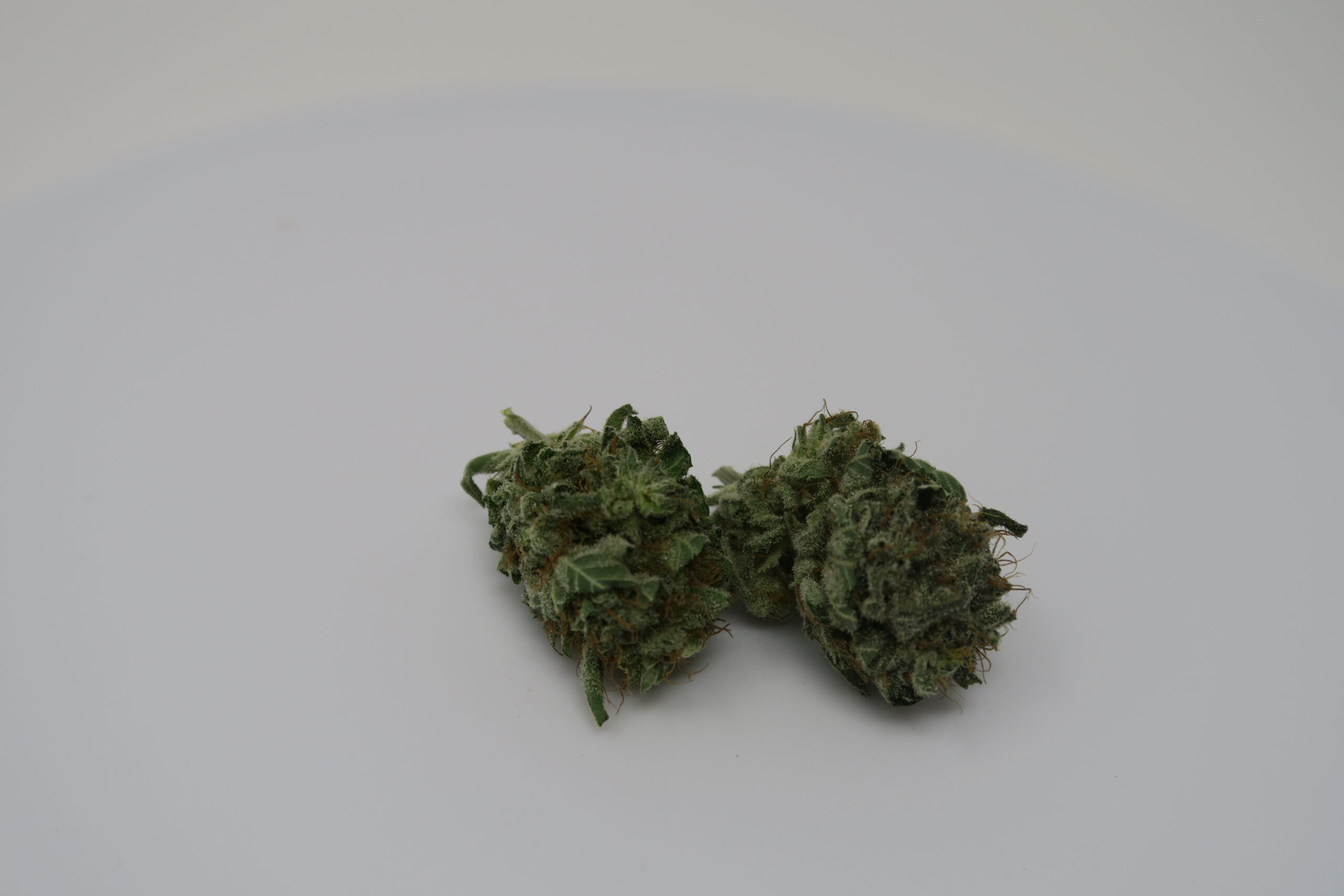 ISMOKE archive image 3 for Candy Cream Cannabis Strain Review