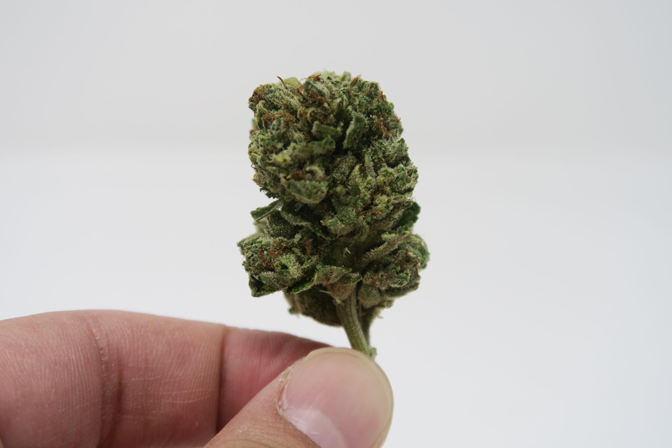 ISMOKE archive image 3 for Headband Cannabis Strain Review