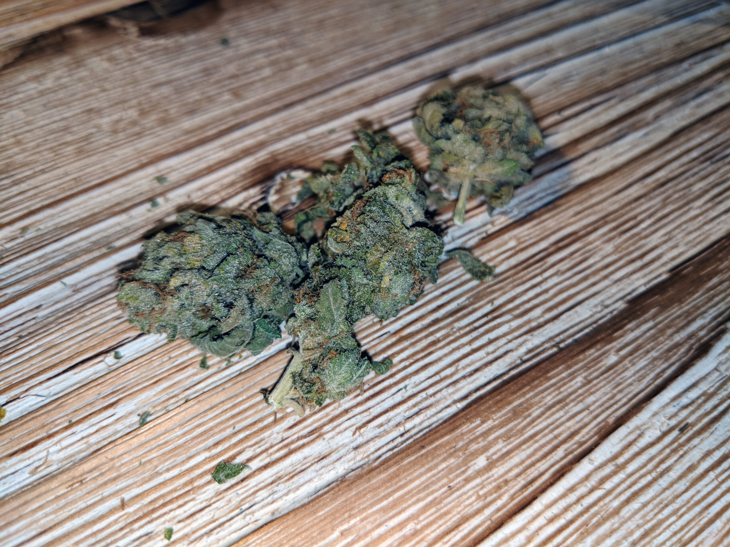 ISMOKE archive image 3 for Mataro Blue Cannabis strain review