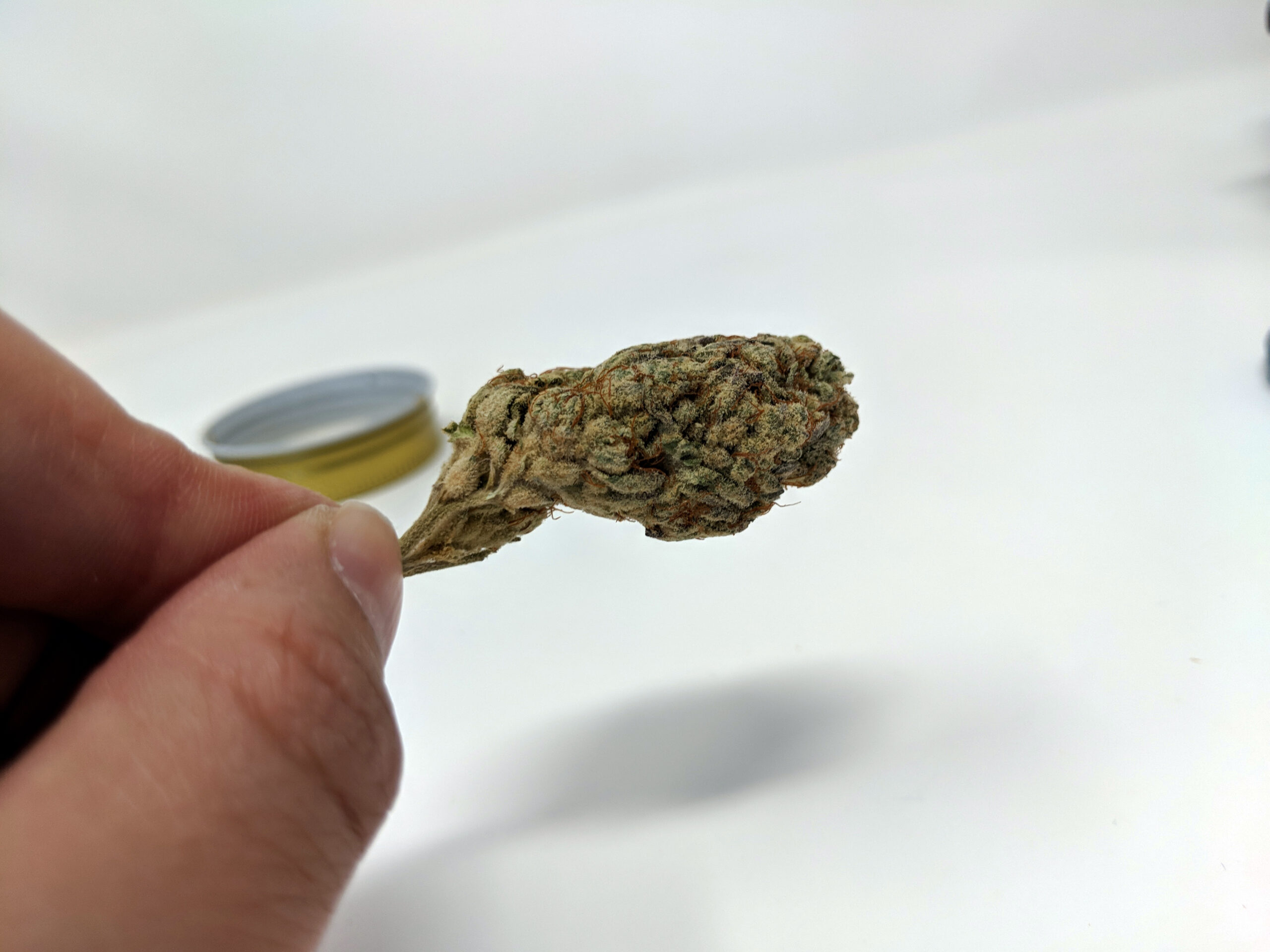 ISMOKE archive image 3 for Alien Cream Cake Strain Review