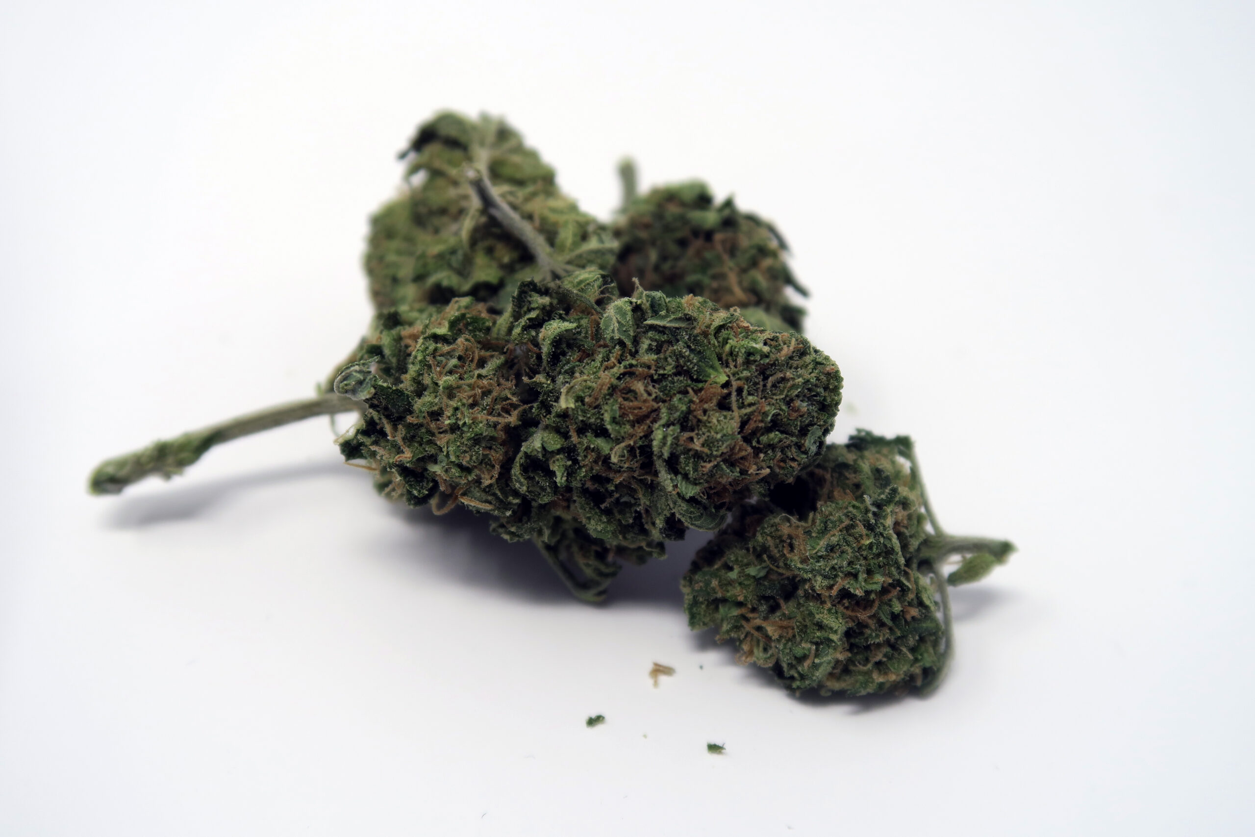 ISMOKE archive image 3 for Blue Cheese Cannabis Strain Review