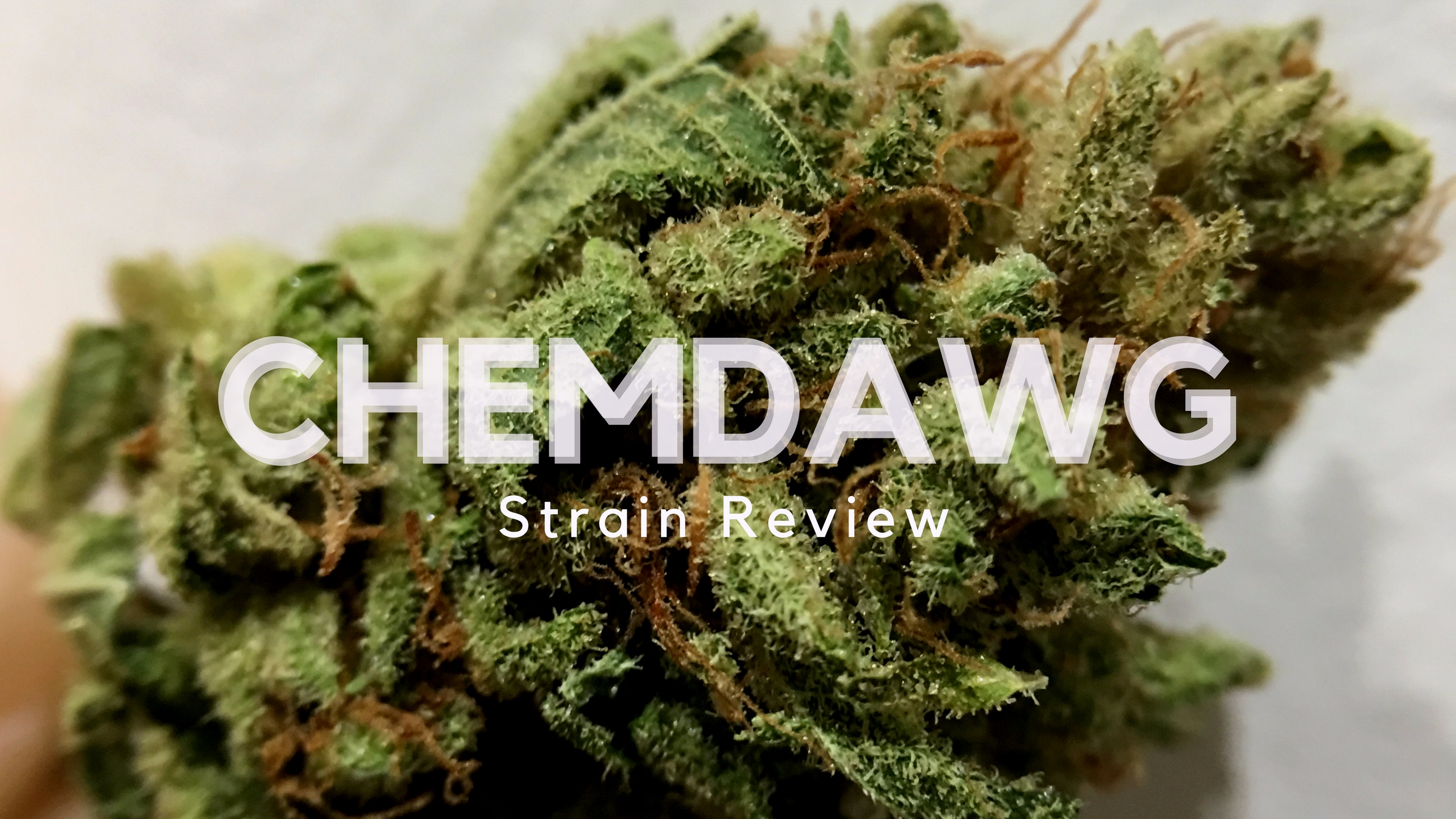 ISMOKE archive image 3 for Chemdog Strain Review