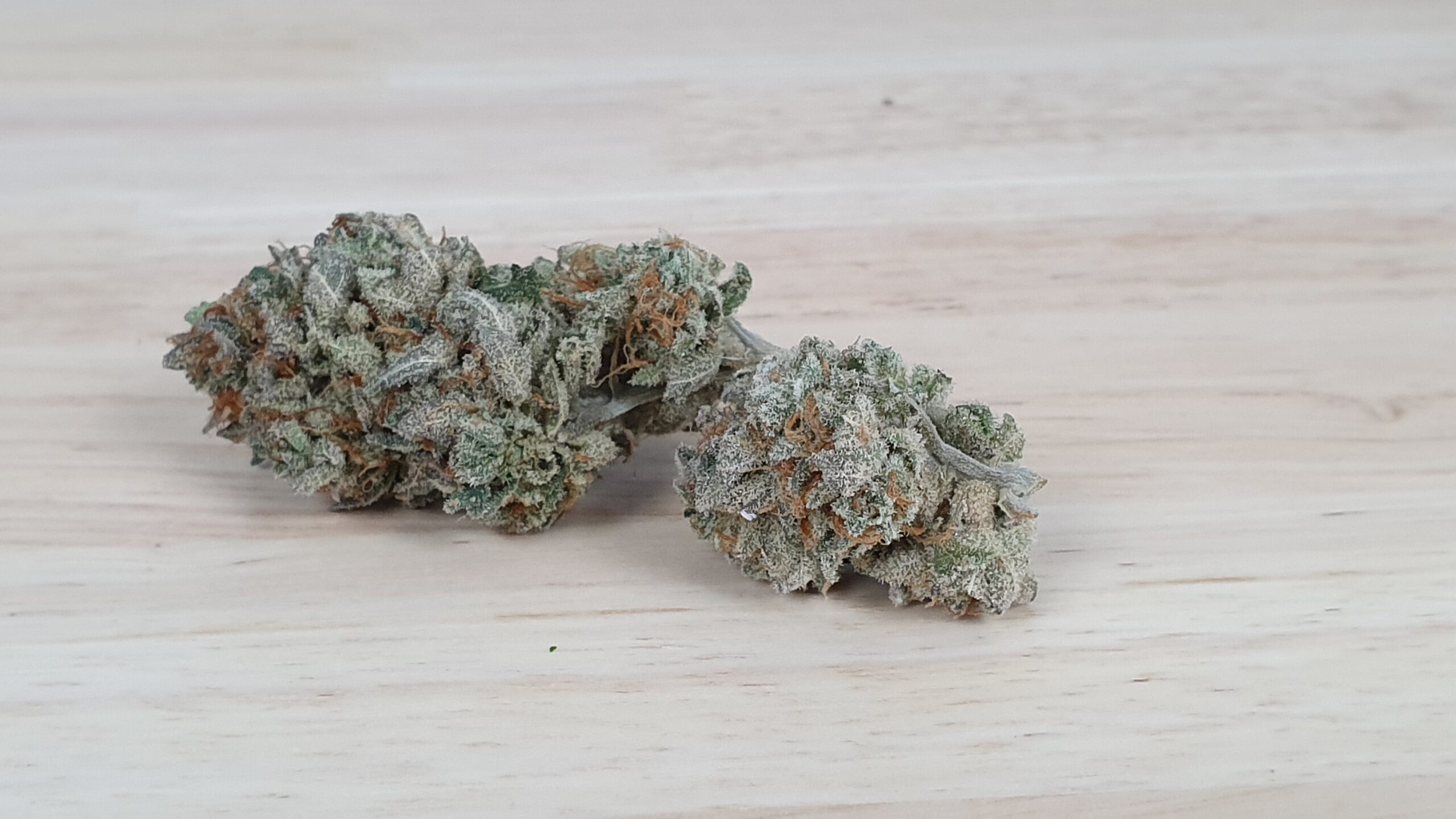 ISMOKE archive image 3 for Cherry Cola Cannabis strain review