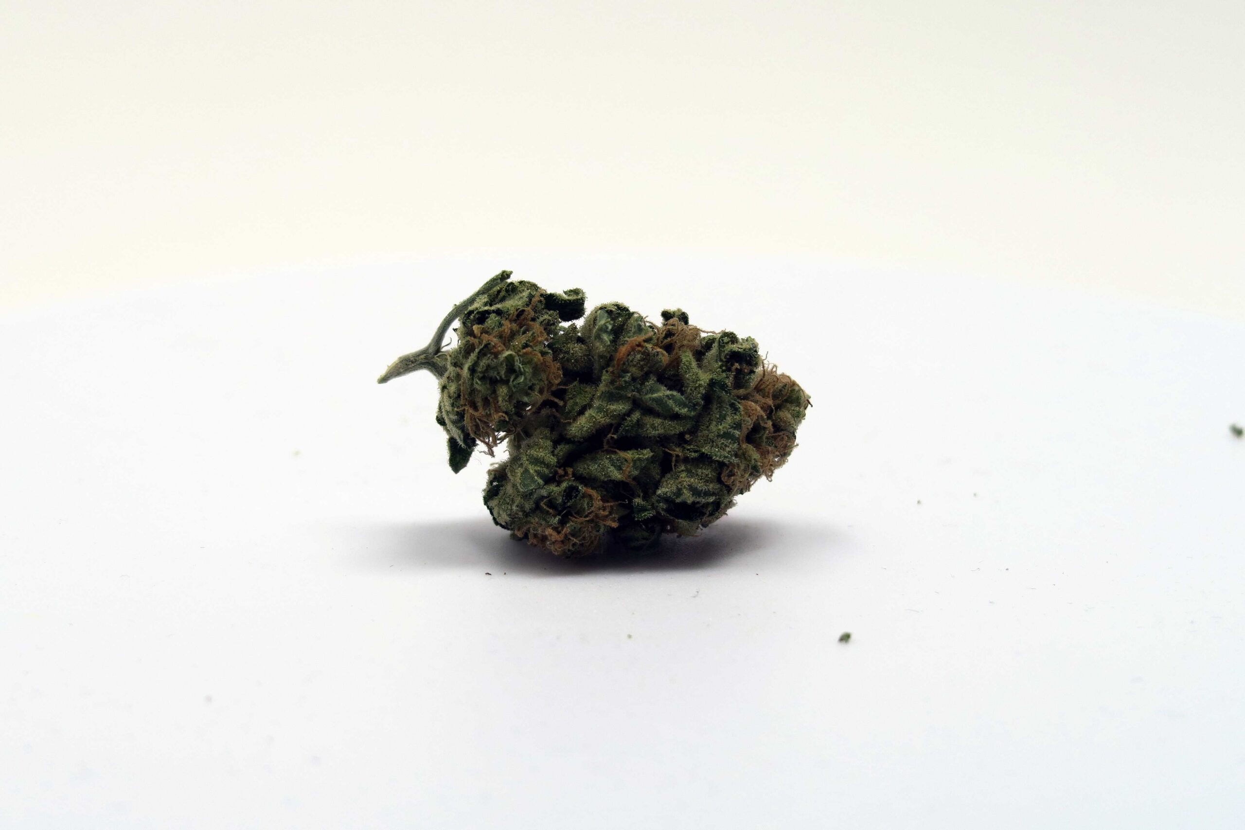 ISMOKE archive image 3 for Chocolate Kush Strain Review