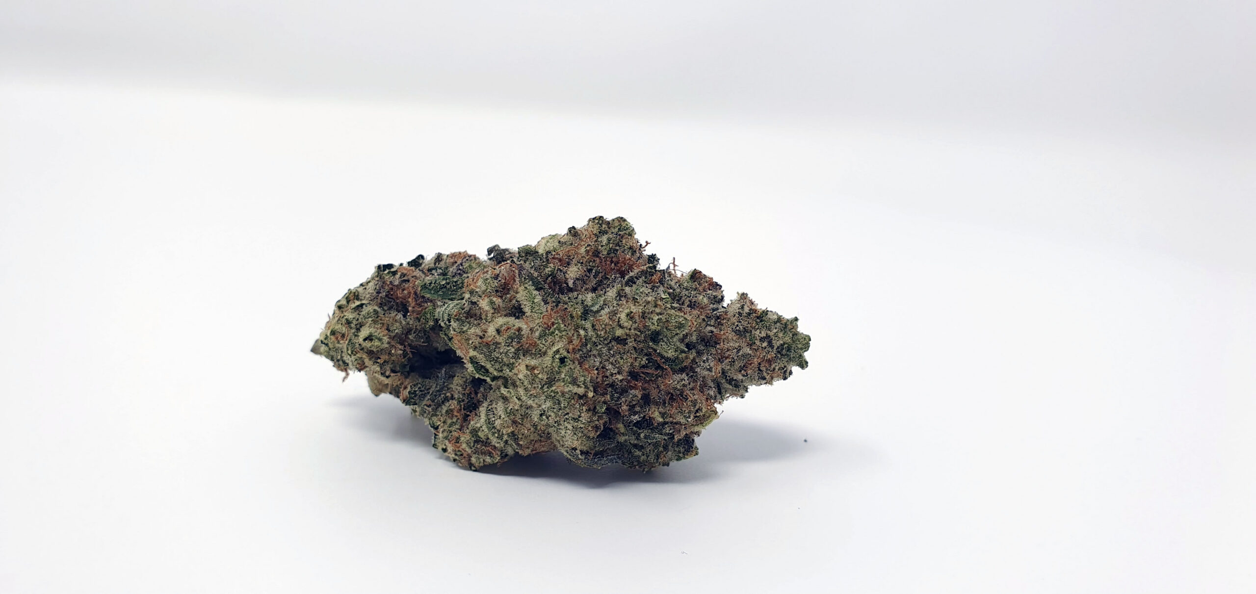 ISMOKE archive image 3 for Ginger Glue by Black Sheep Botanicals Cannabis strain review
