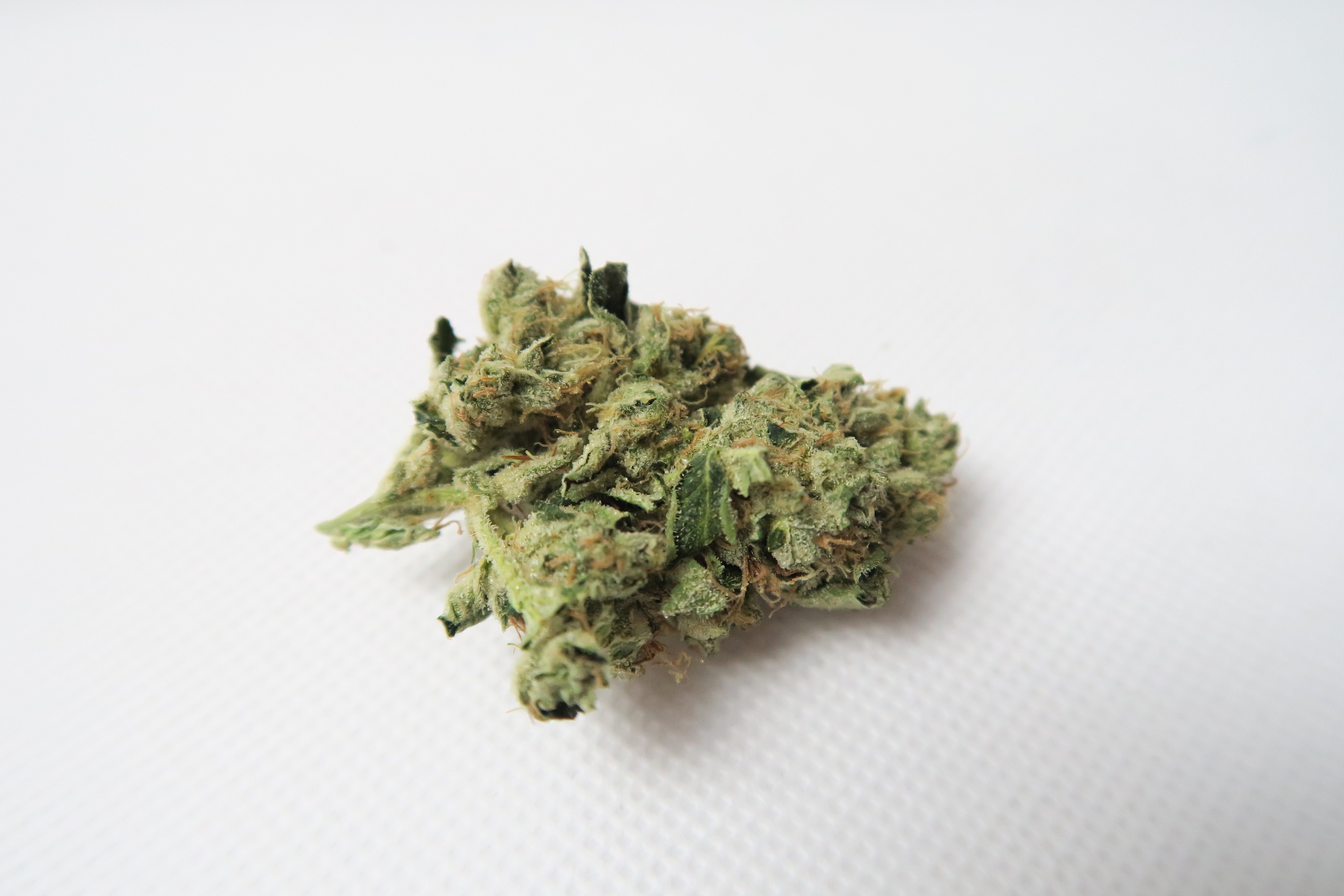 ISMOKE archive image 3 for Headbanger Strain Review